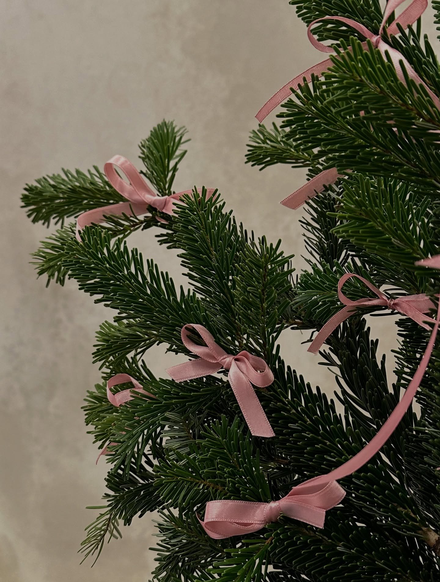 ❊ This holiday season is the perfect time to slow down, be present with your loved ones, and start dreaming about the celebrations yet to come. 
If 2026 holds a special moment for you, now is the time to begin planning it with calm, clarity, and exci