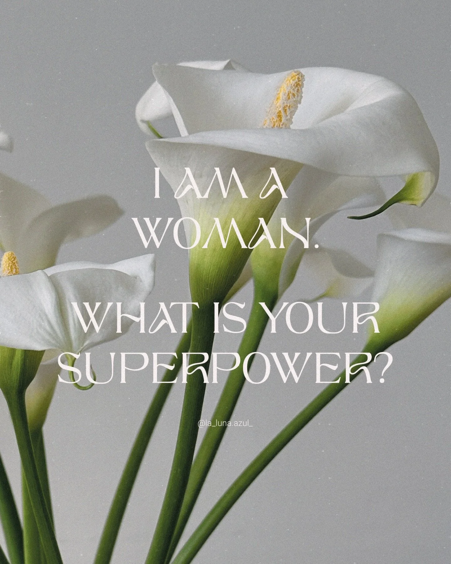 ❉ Today we celebrate strength, creativity, intuition, and the quiet power that moves the world forward. Happy International Women&rsquo;s Day. 🤍

In the world of weddings, something beautiful happens behind the scenes: most celebrations begin with a