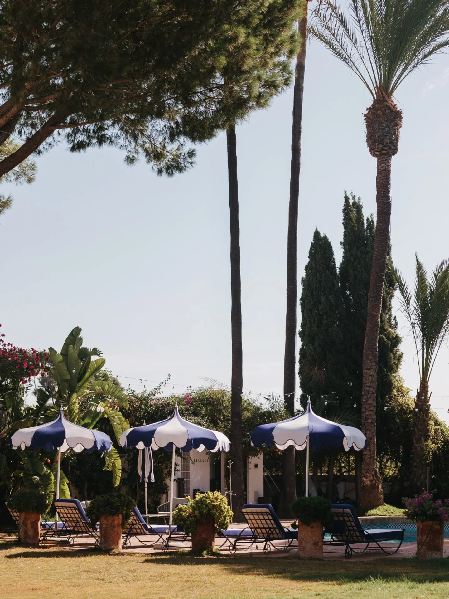 ❈ We simply love vibe of Mediterranean gardens&hellip; but add a swimming pool, and it becomes pure enchantment.

Imagine a refreshing dip under the sun the day before your wedding, laughter echoing through the garden, or a slow, relaxed brunch the d