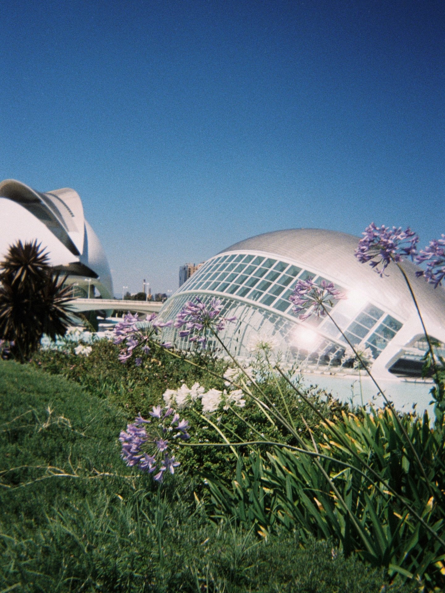 ❈ Valencia is where our story begins&mdash;sunlight, sea breeze, and that unmistakable energy that makes every day feel a little extraordinary.

At La Luna Azul, we don&rsquo;t just plan events in one place&mdash;we travel with your story. Wherever i