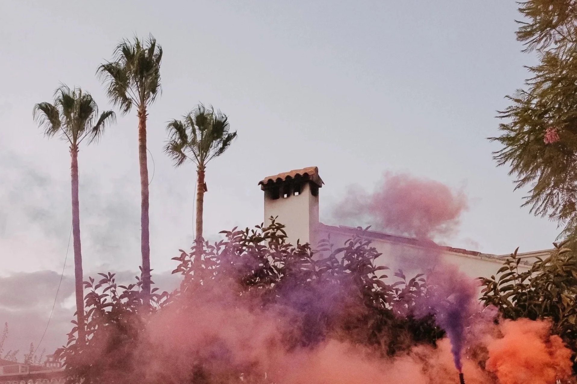 A house with a chimney, palm trees, and pink and purple smoke or fog in the foreground, under a cloudy sky at dusk.