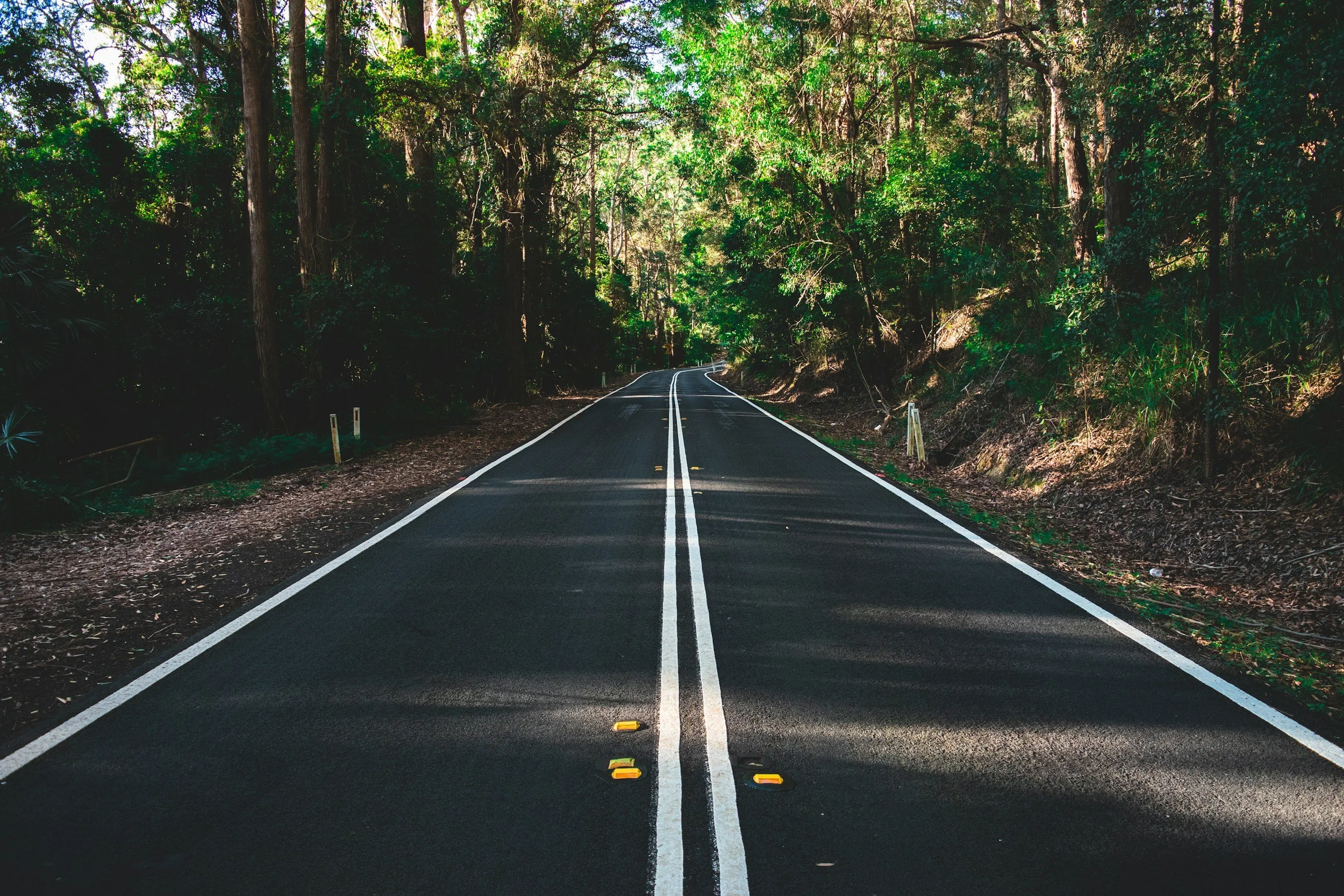 Your Senior Year Roadmap: Month-by-Month Guide to Staying on Track