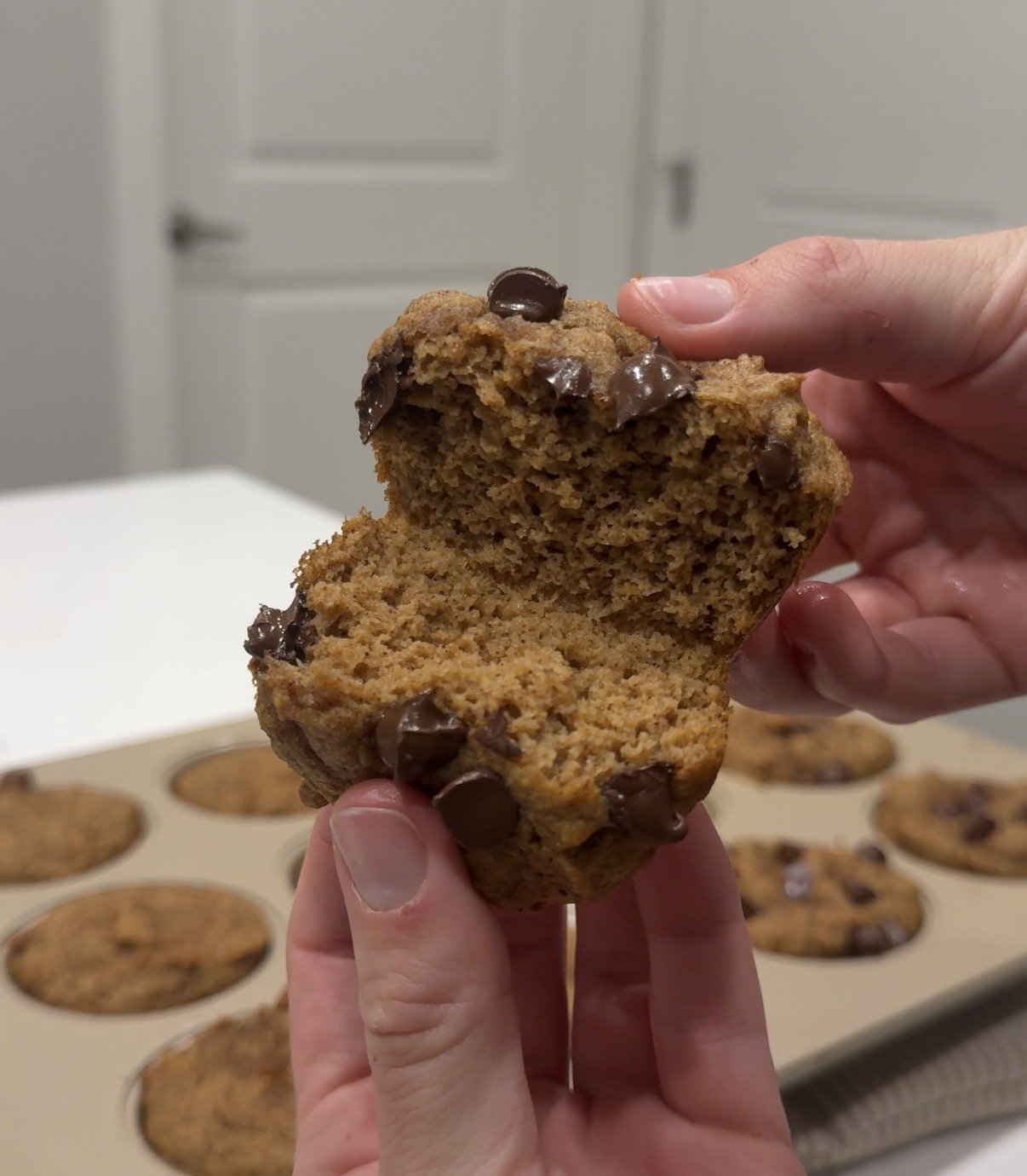 Pumpkin Protein Muffins