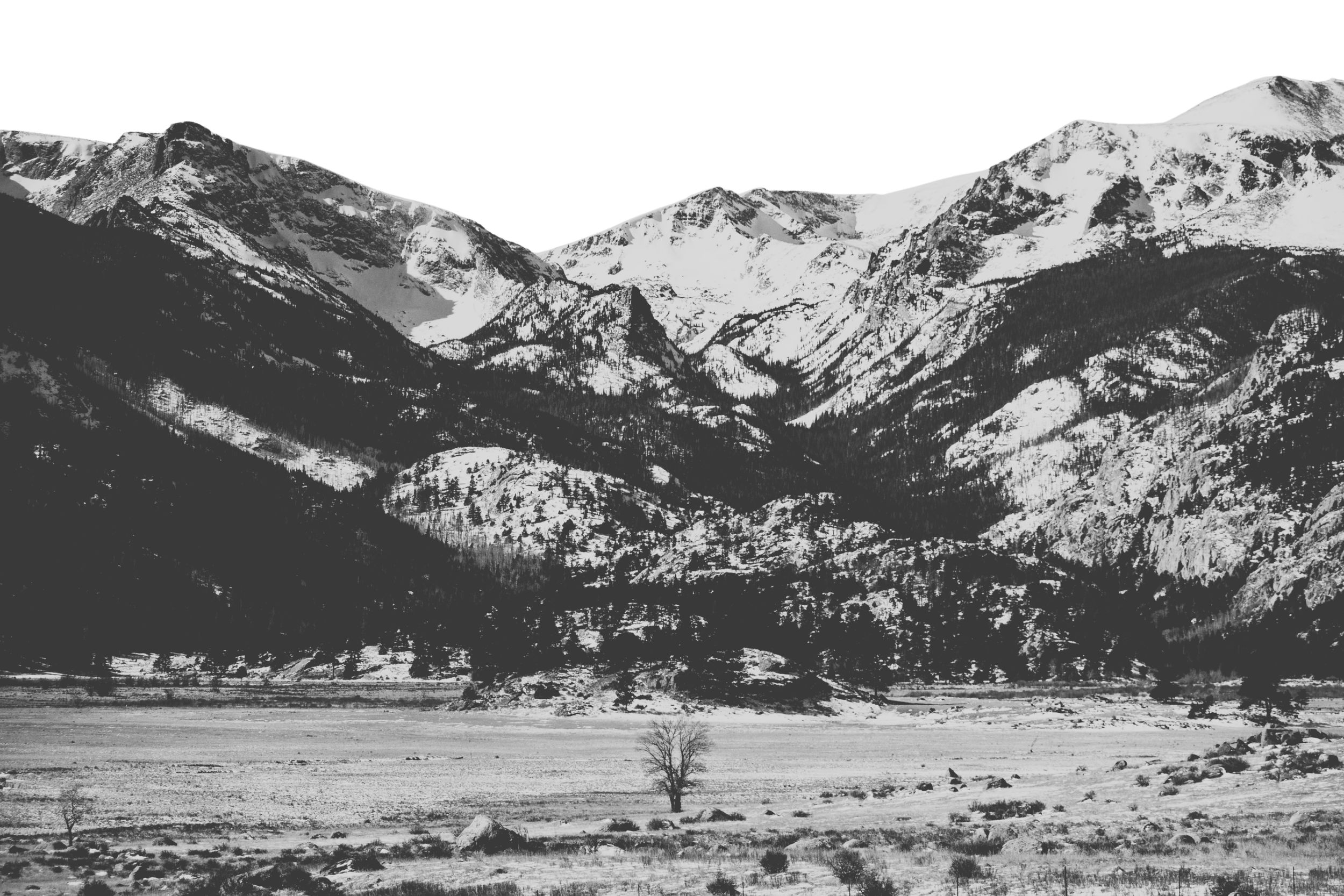 Snow-covered mountains with a small tree in the foreground, under a clear, dark sky.