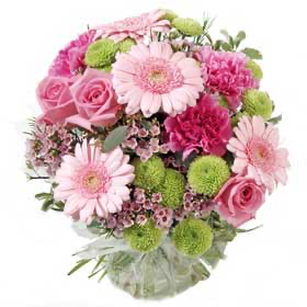 IMG_4910.png (Copy) (Copy) (Copy)