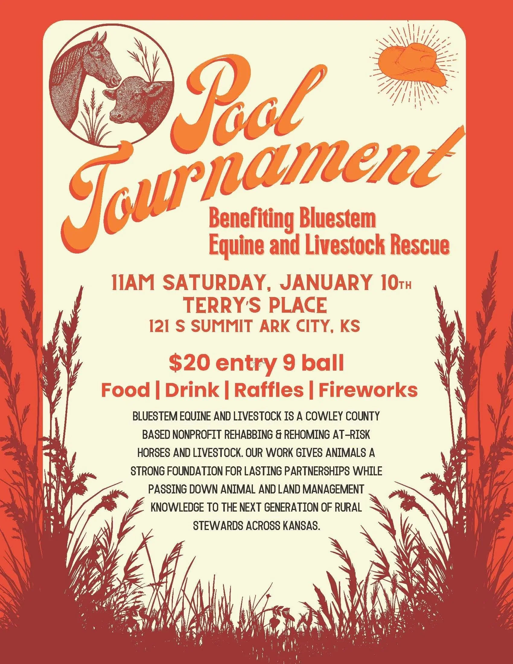 Pool Tournament Benefit