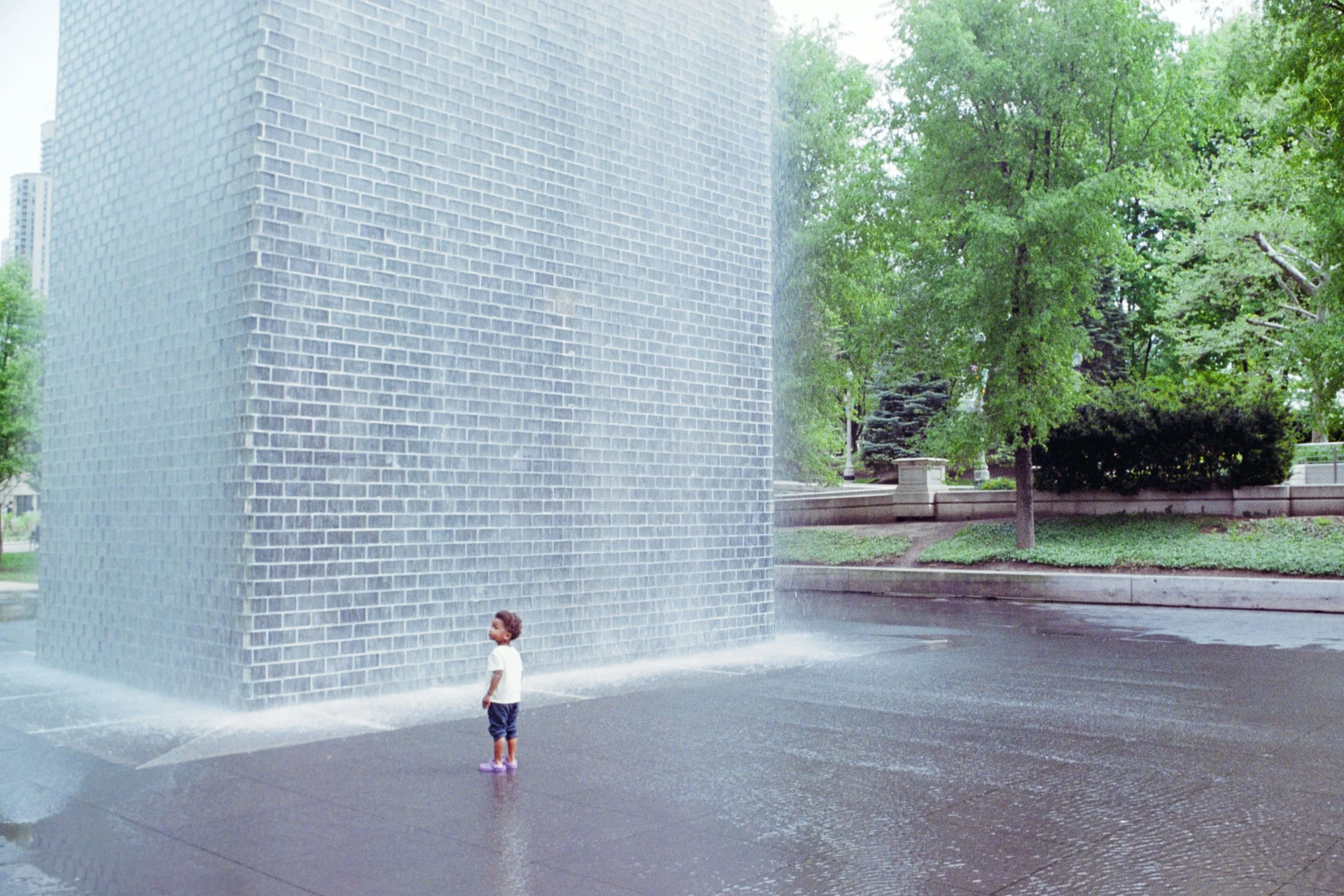 film167.jpg