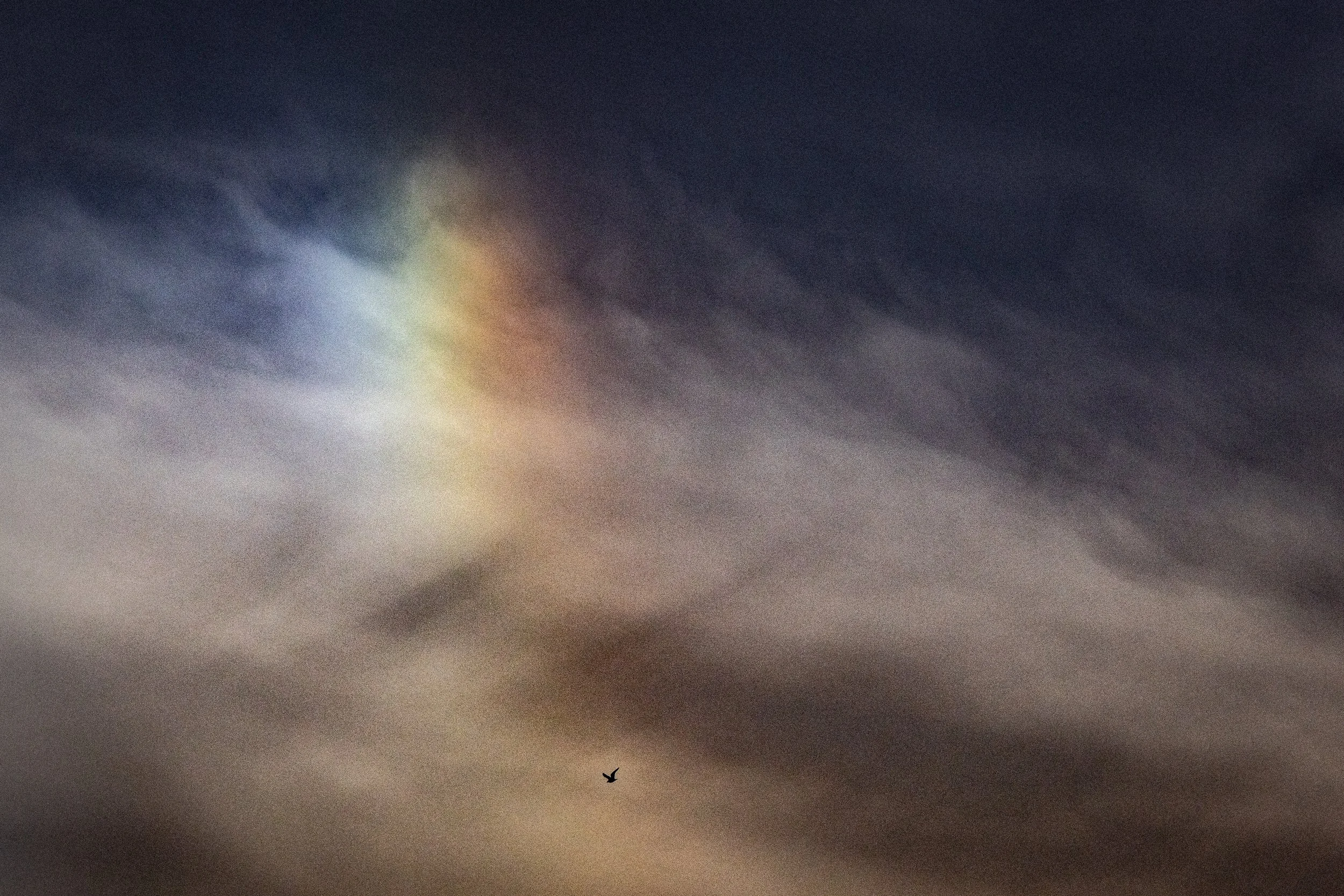 251106 -         Keep in Flight25-2.jpg