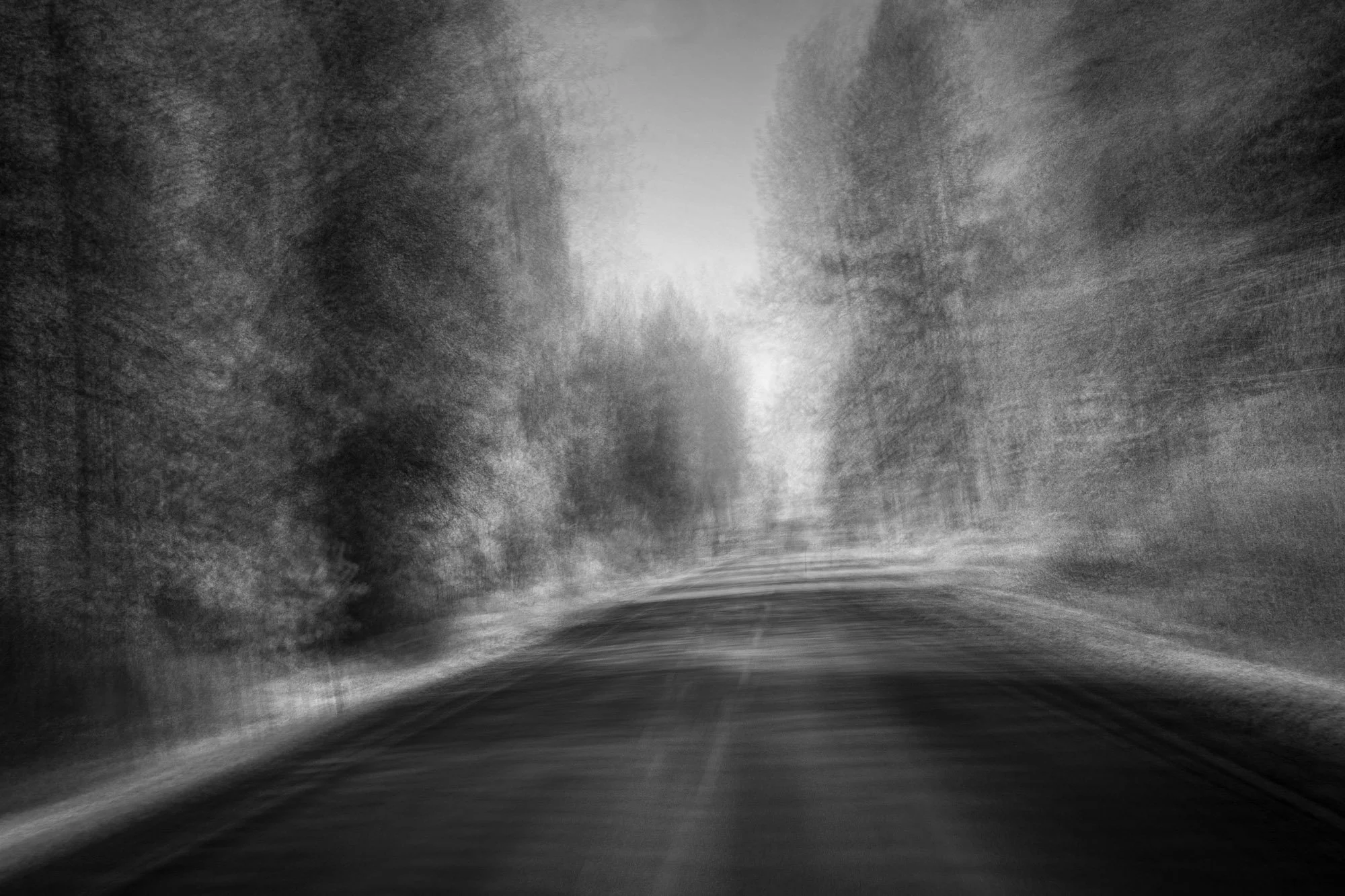 A black and white photo of a foggy forest road surrounded by trees on both sides, with a diffused light at the end of the road.