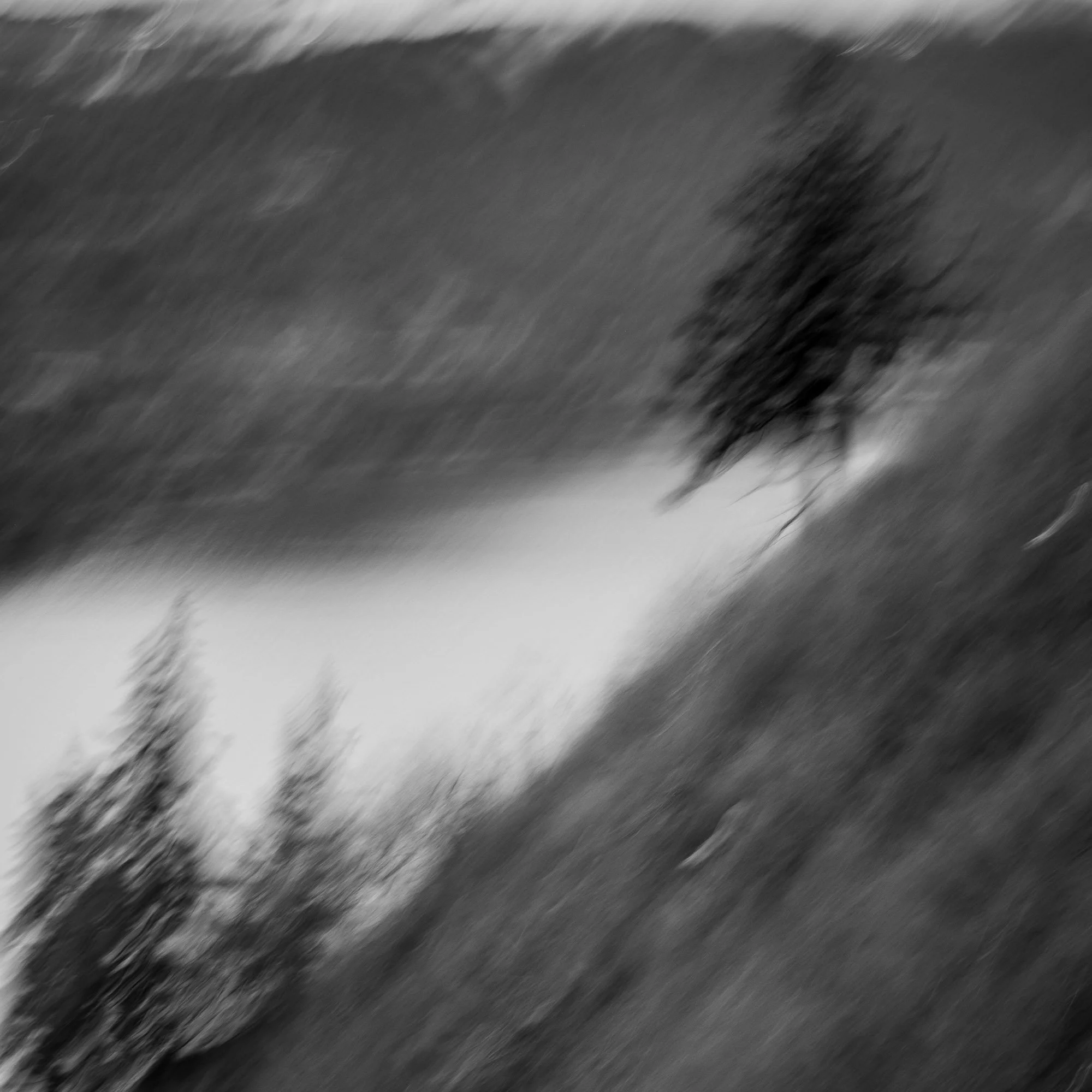 Blurry black and white photo of trees and a landscape, possibly taken during a storm or windy weather.