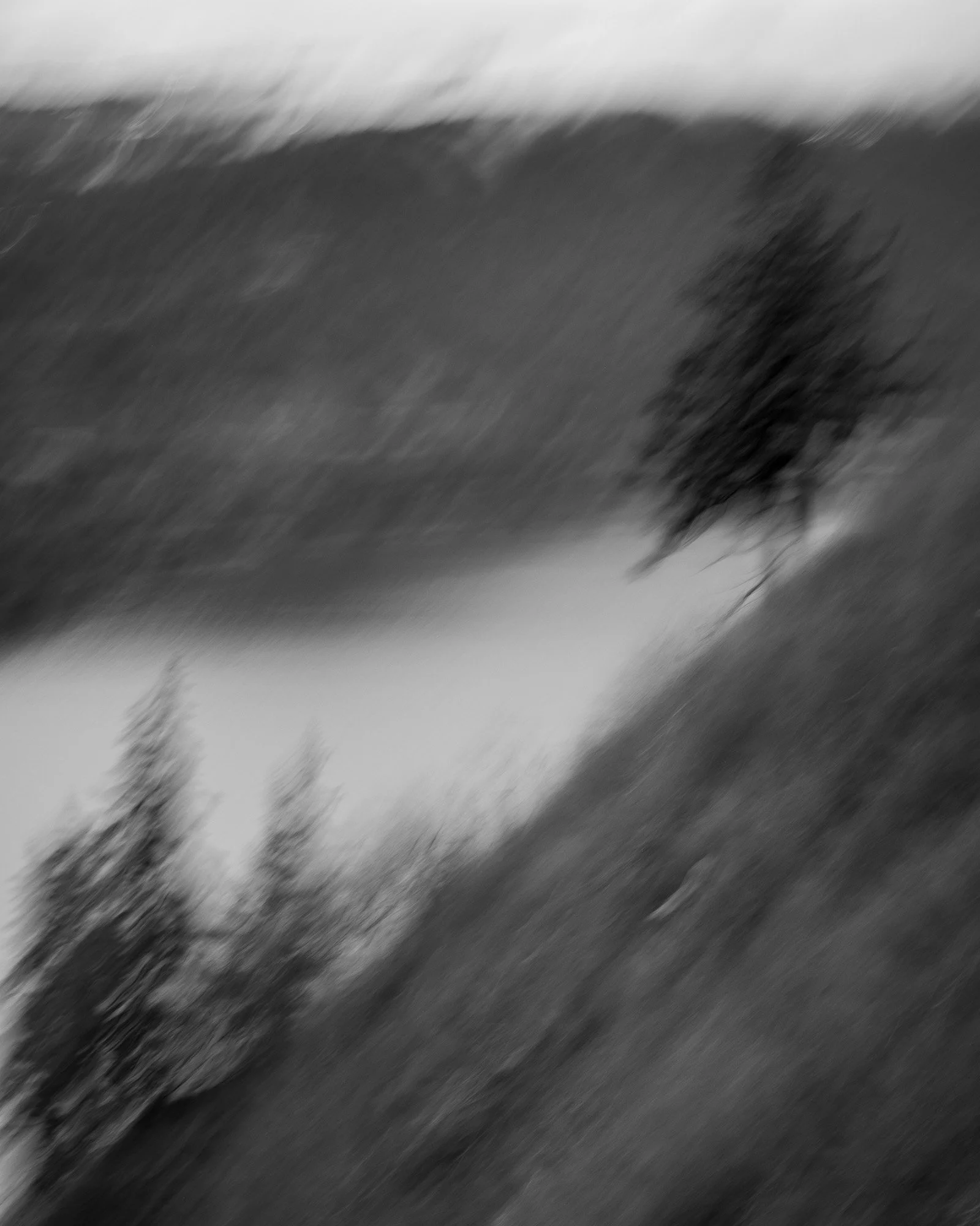 Blurry black and white photograph of a landscape with trees and hills.