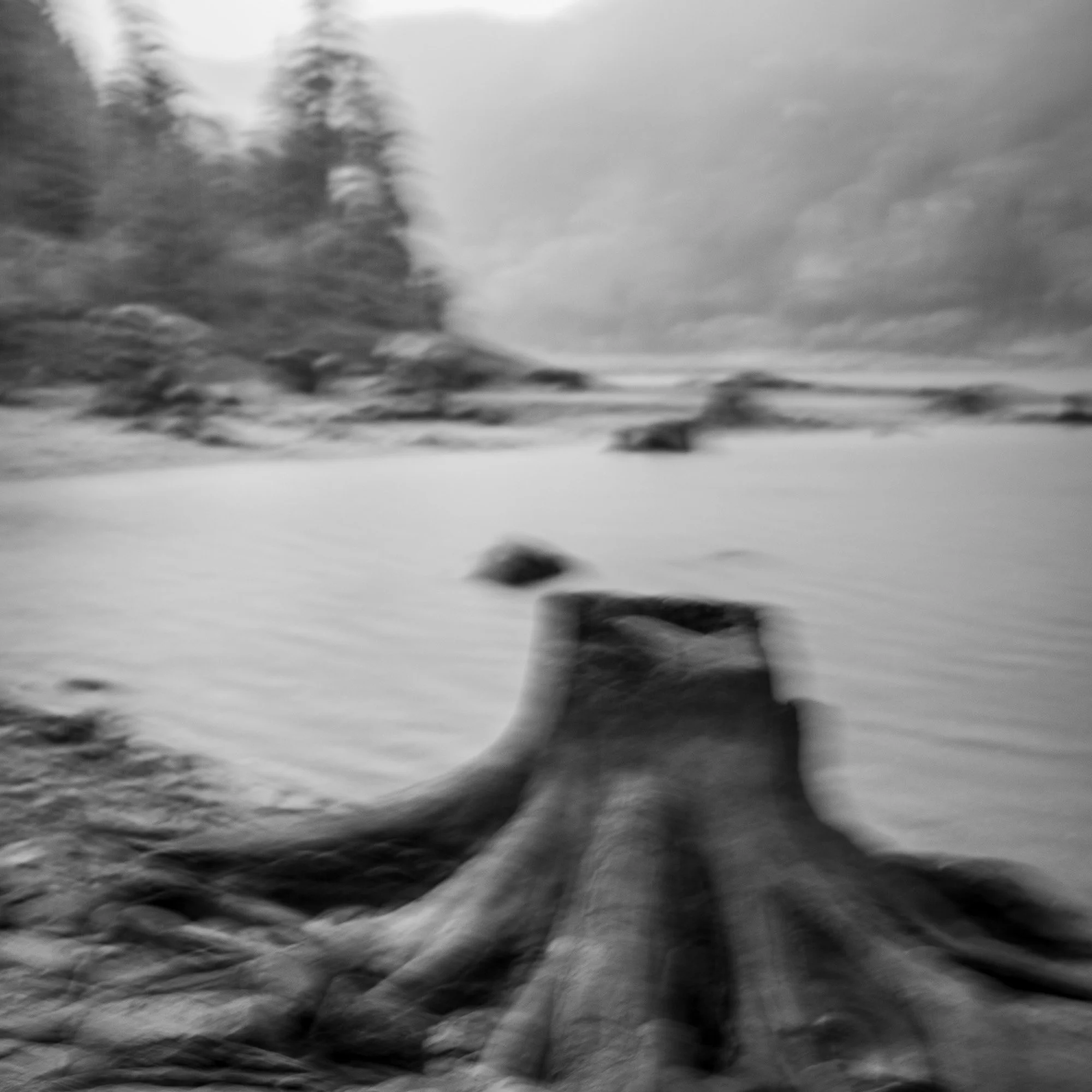 Blurry black and white photograph of a river landscape with a fallen tree trunk in the foreground, distant trees, rocks, and cloudy sky.