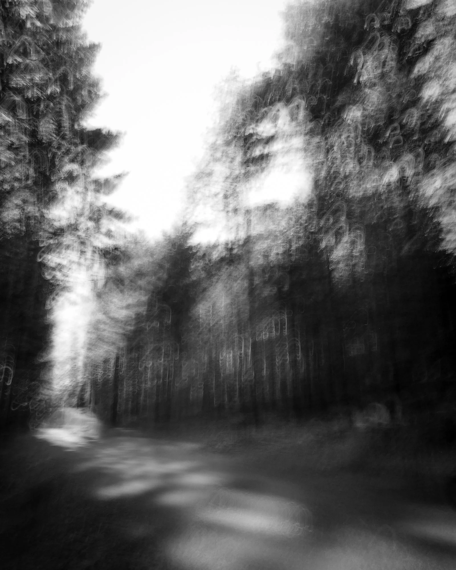 Blurry black and white photo of a wooded pathway with trees on both sides.