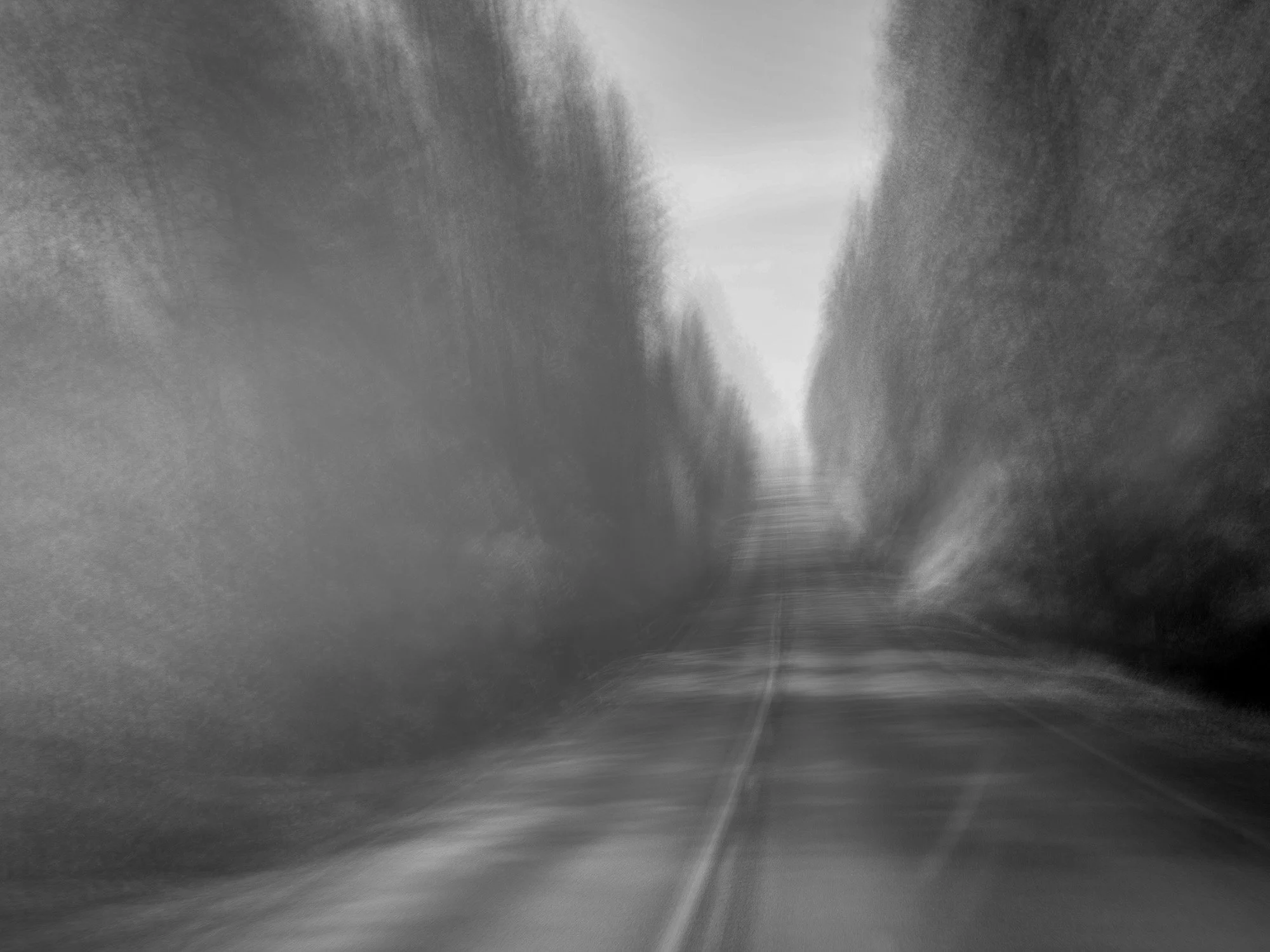 A black and white photograph of a long, empty road stretching through a forested area with tall trees on both sides, converging towards the horizon.