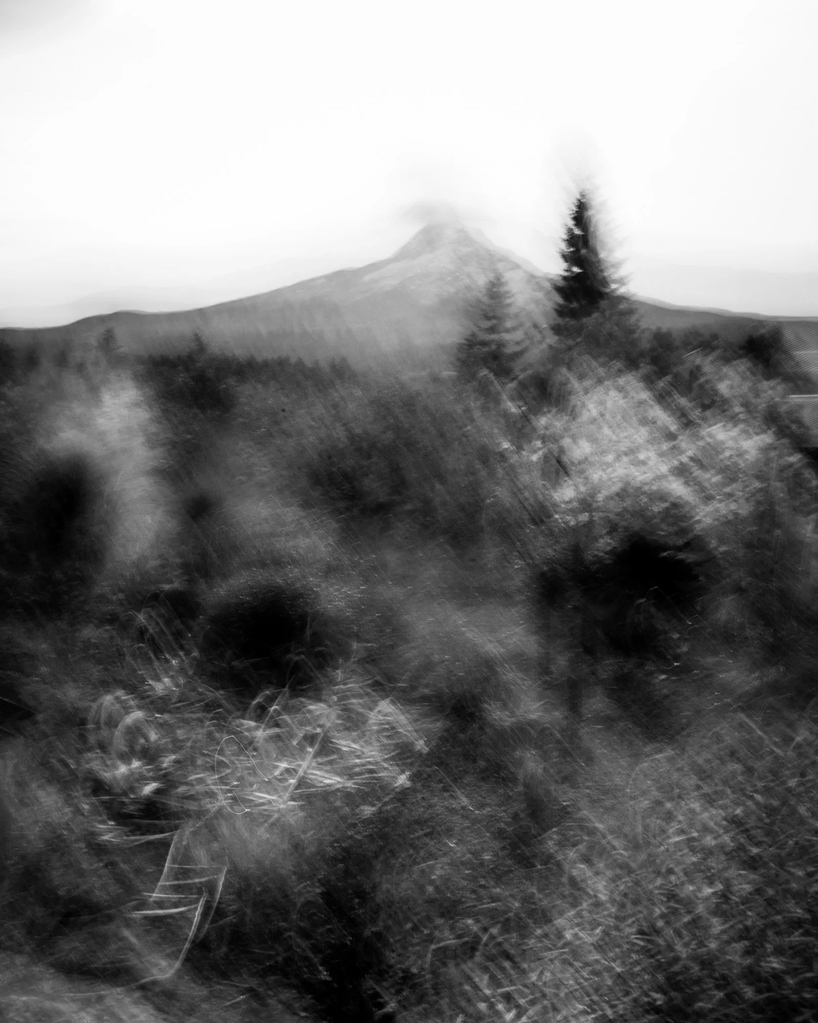 Blurry black and white photo of a mountain with trees and foliage in the foreground.