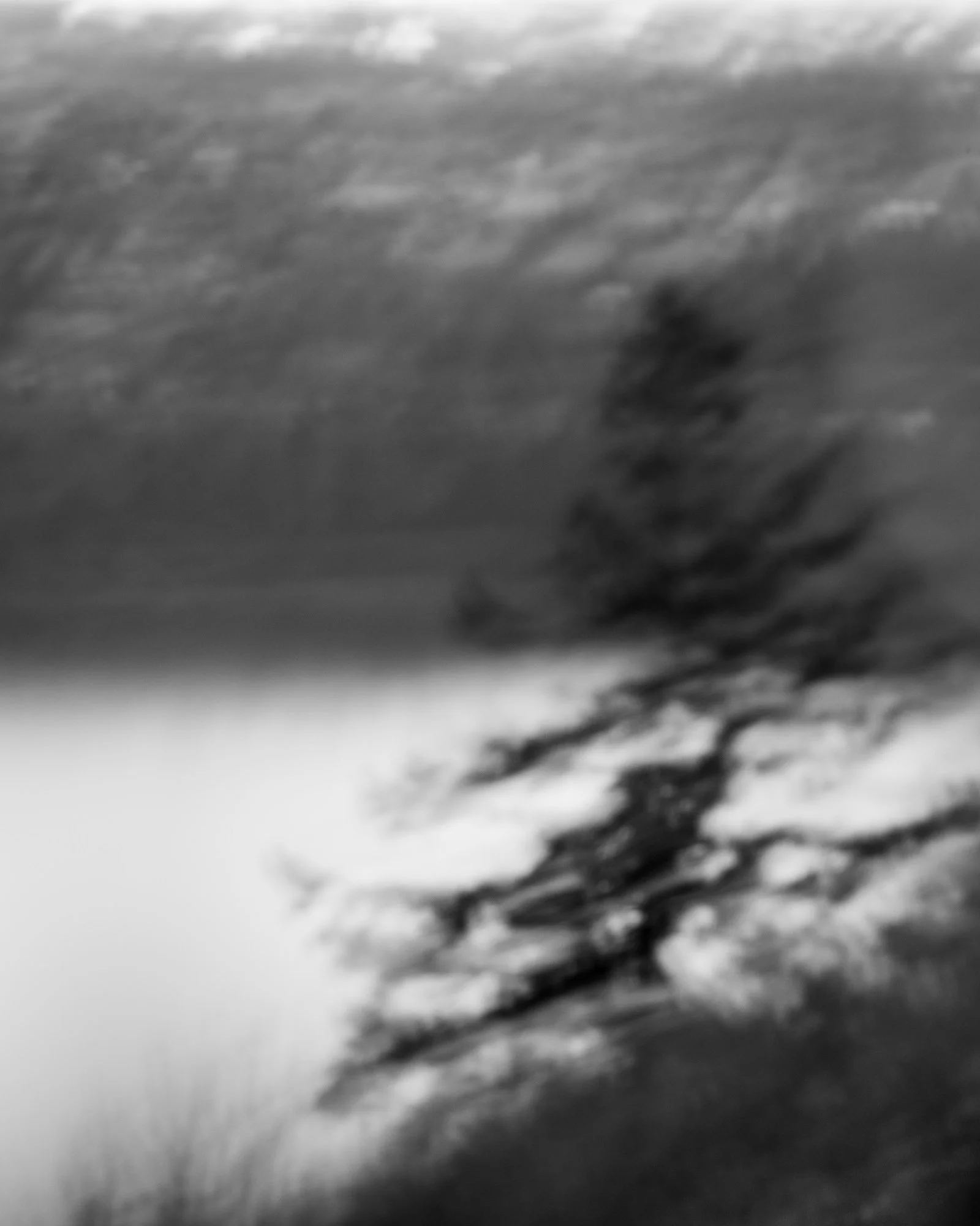 Blurry black and white photo of a leafless tree beside a body of water.
