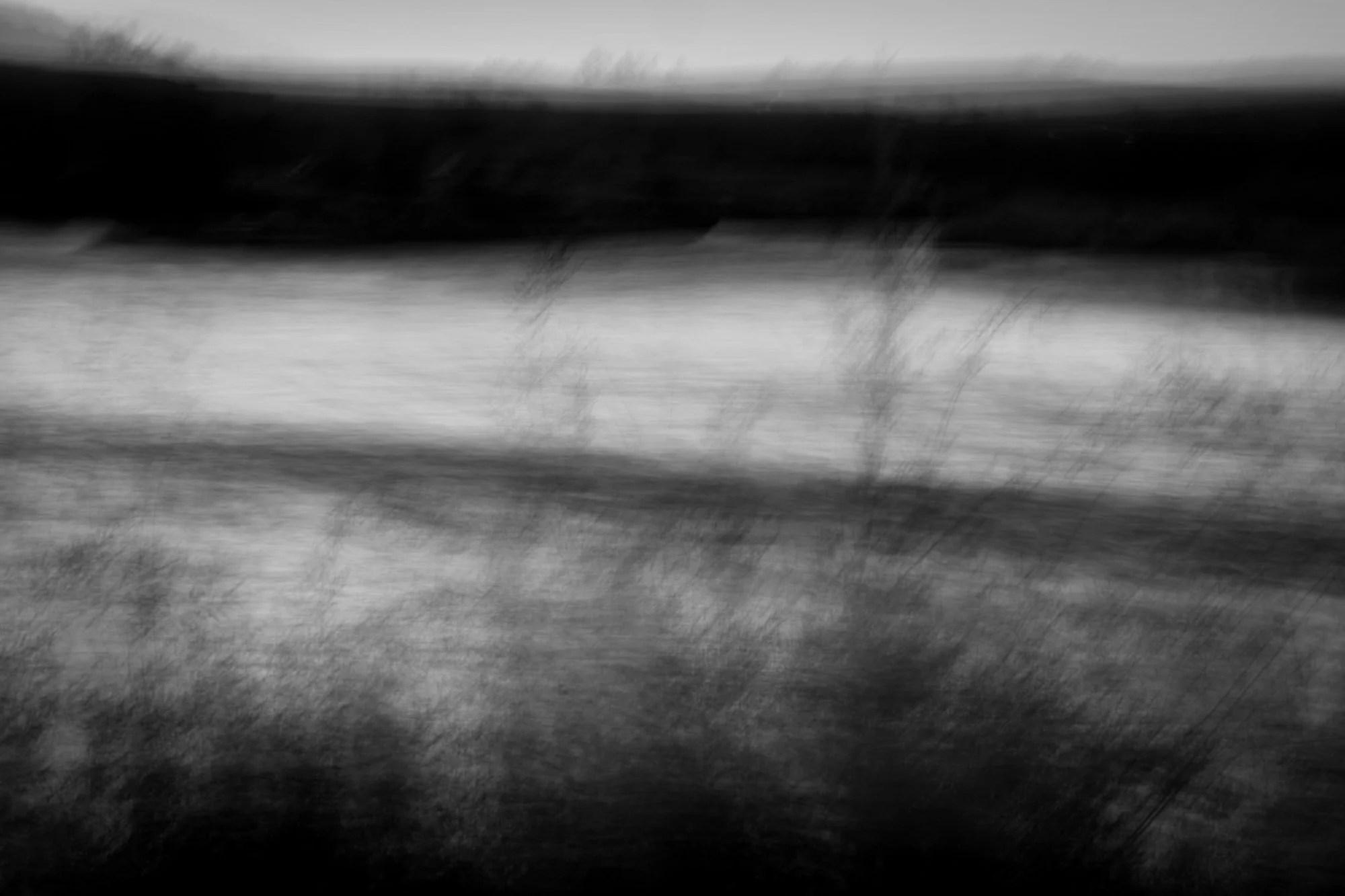 Black and white abstract photo with blurred motion, possibly of a landscape with trees or shrubbery near water.