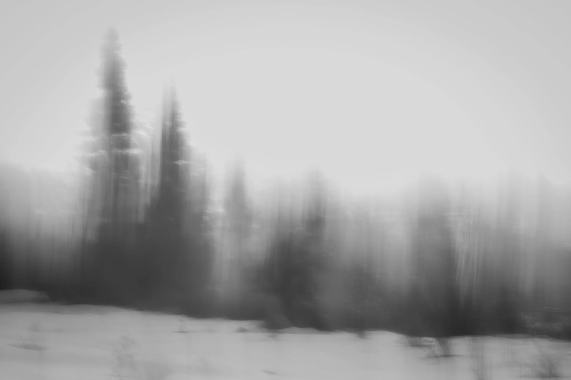 Blurred black-and-white photo of tall trees and snow-covered ground