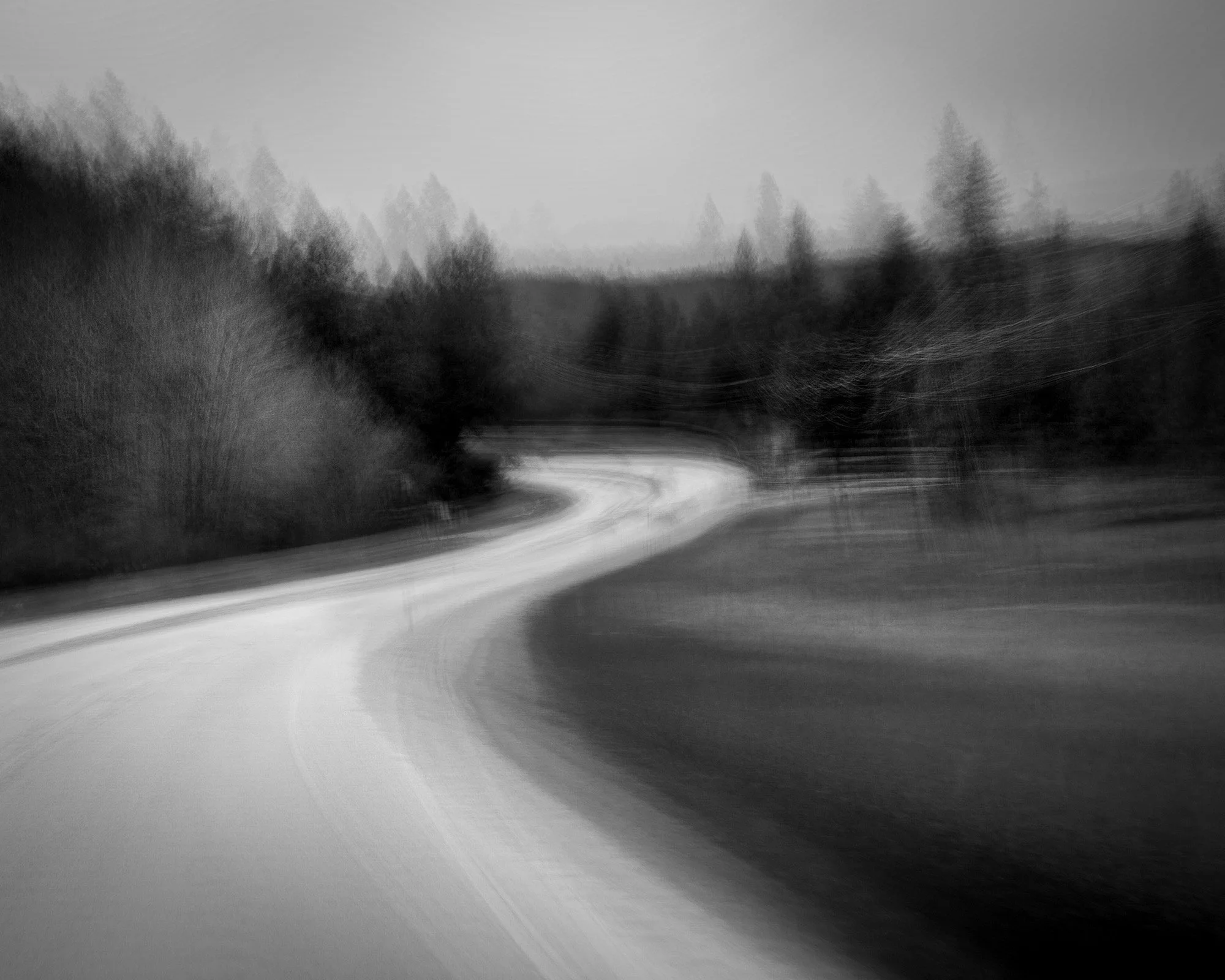 Black and white photo of a winding road through a forest, with trees on both sides and a misty atmosphere.