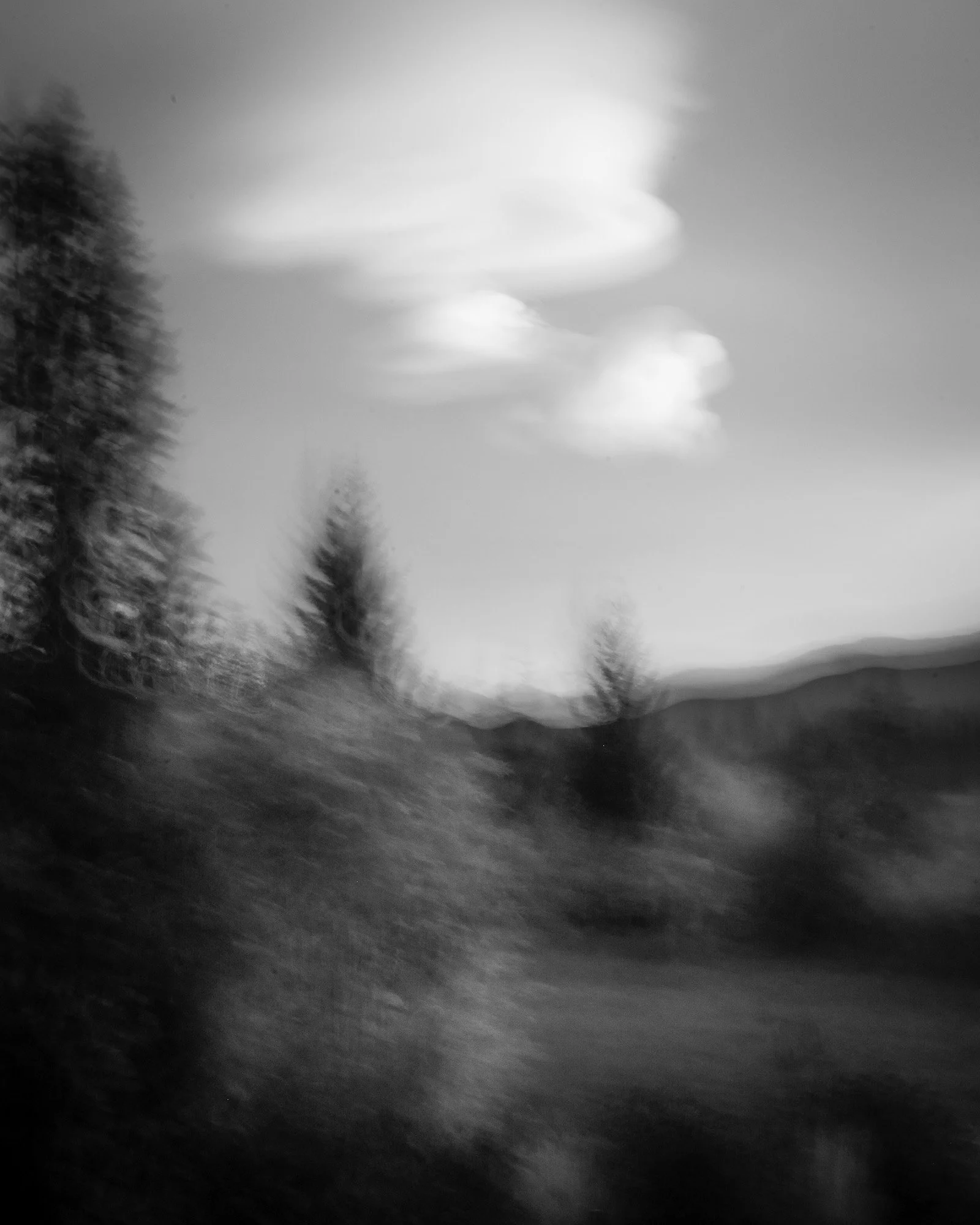 Blurred black and white landscape with trees and cloudy sky.