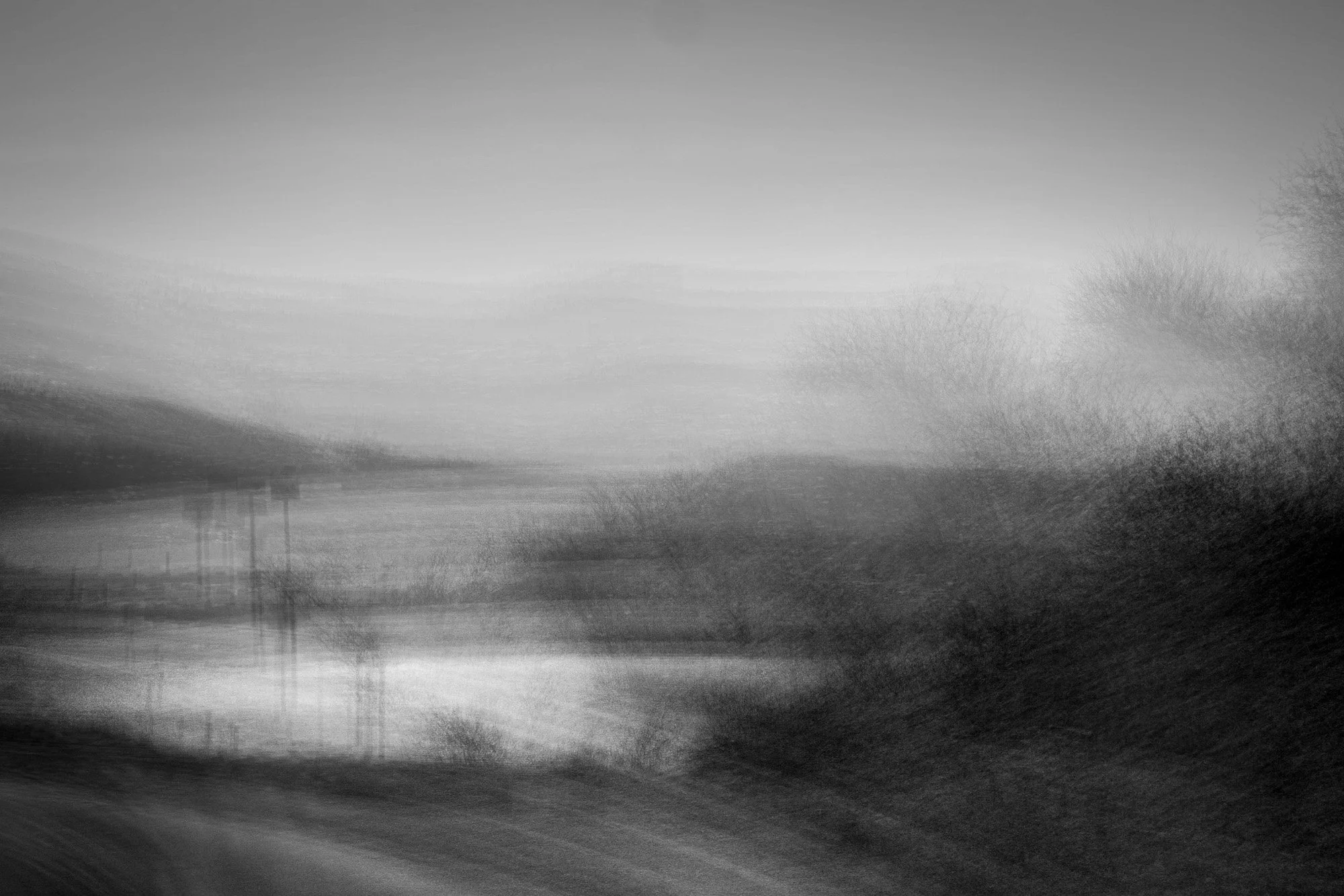 Blurred black and white landscape with trees and a body of water