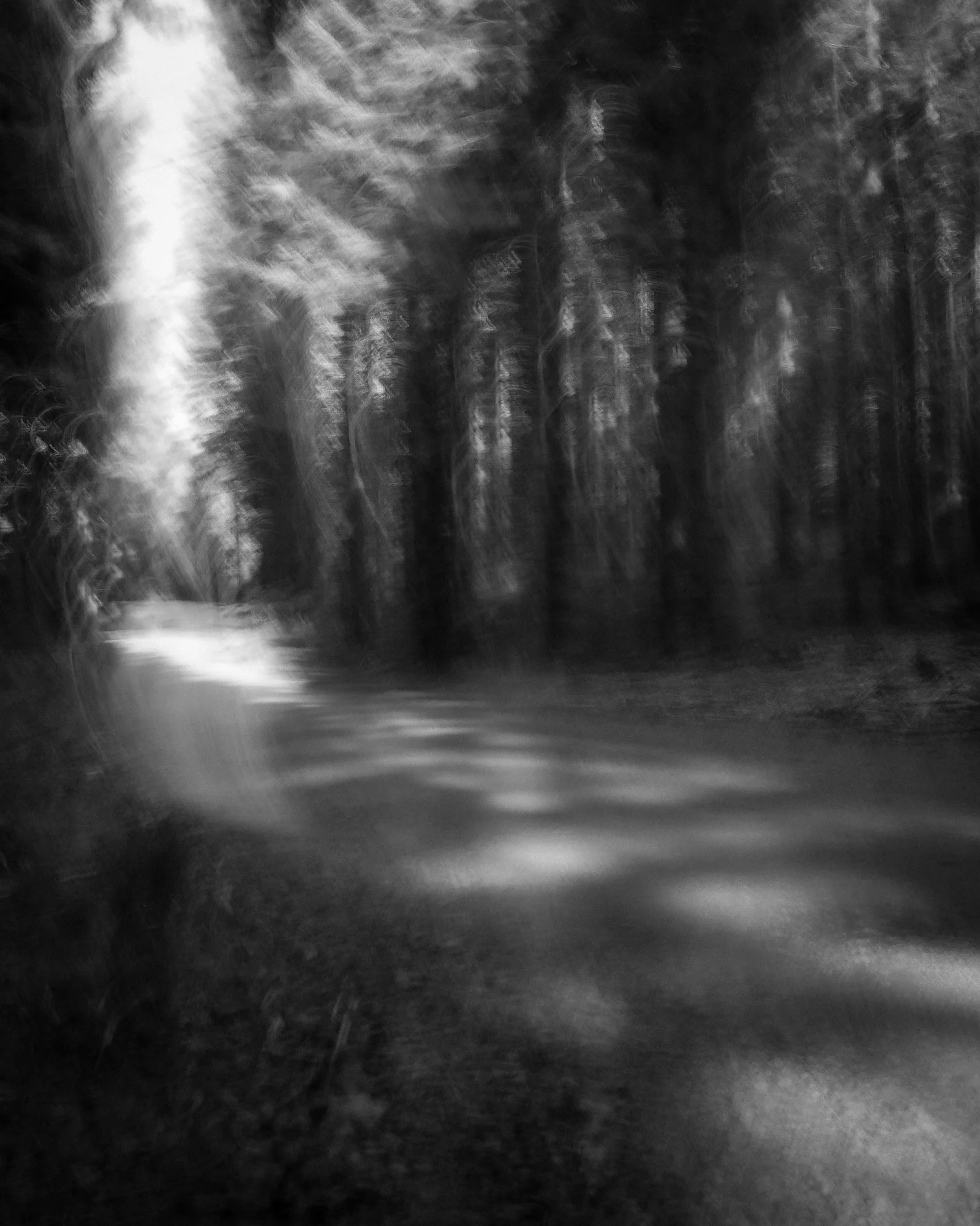 Black and white photograph of a blurred forest road with tall trees on either side, creating a surreal, abstract scene.