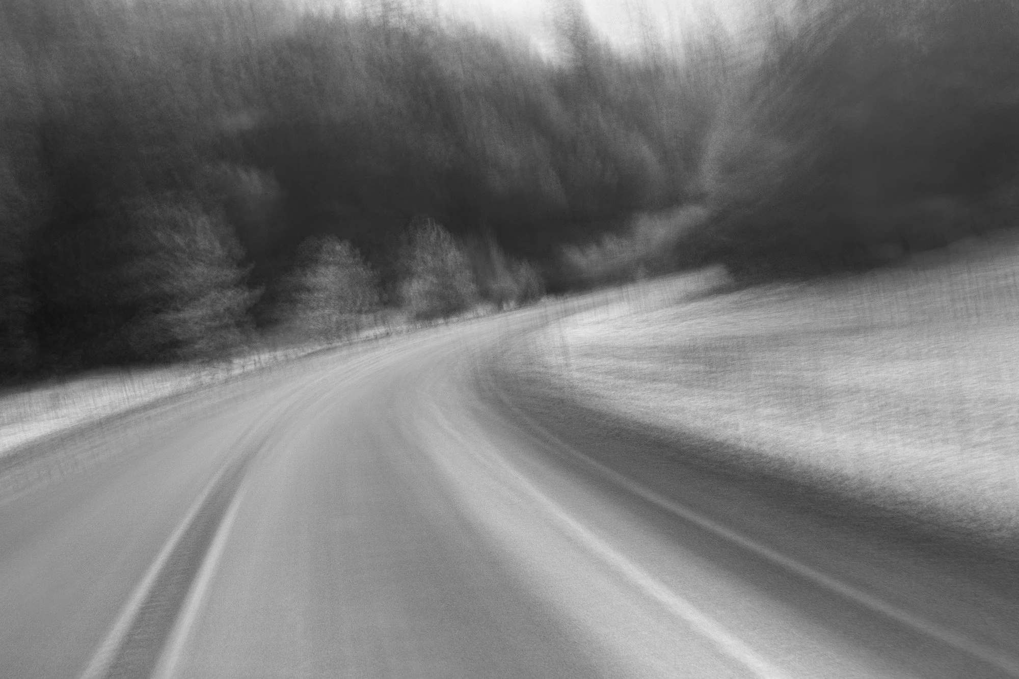 Blurred black-and-white photo of a road with trees on the sides, showing a sense of motion or speed.