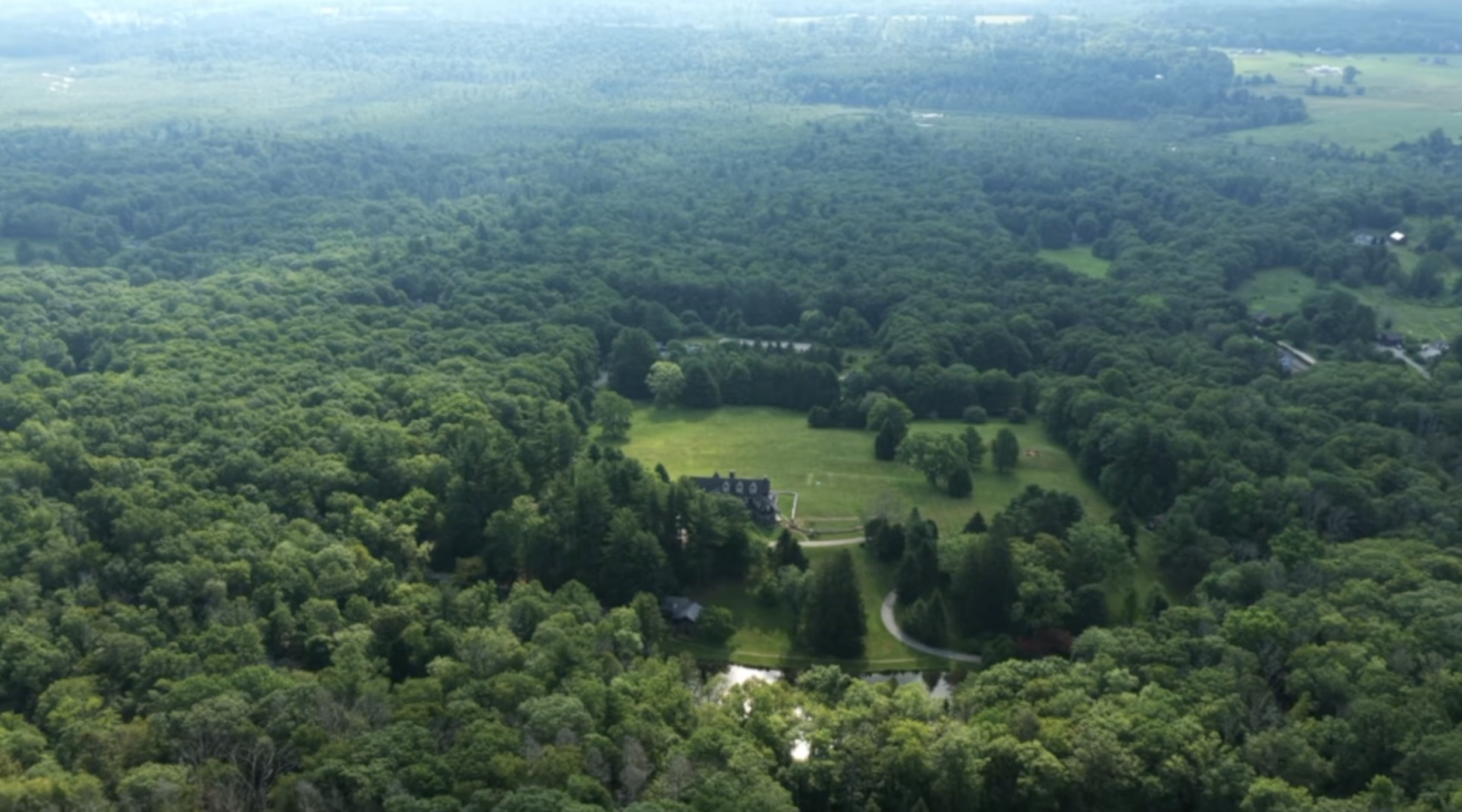 The woods at The Thyme Retreat Center, Salisbury, Connecticut