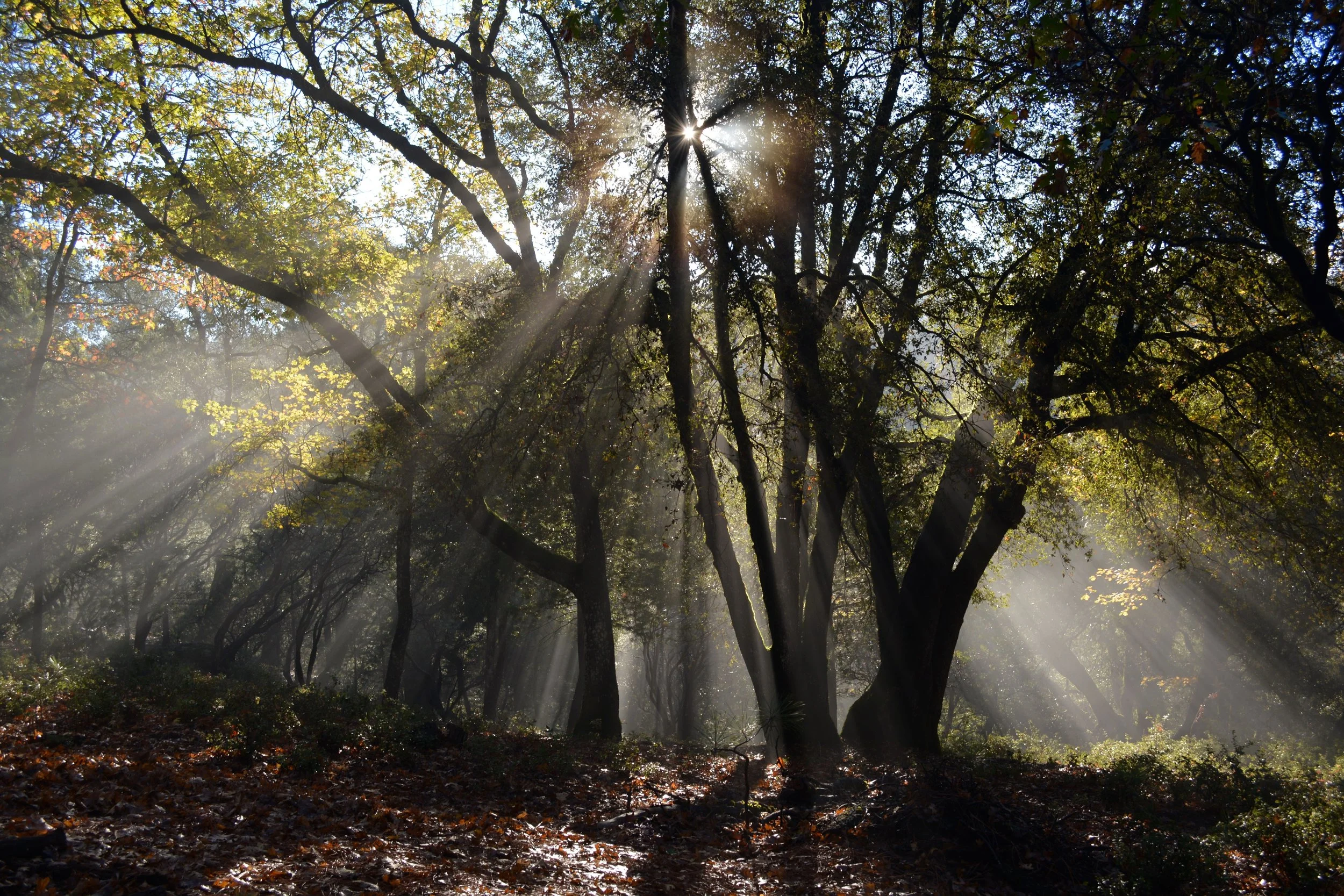 The Valley in Fall 2.jpg