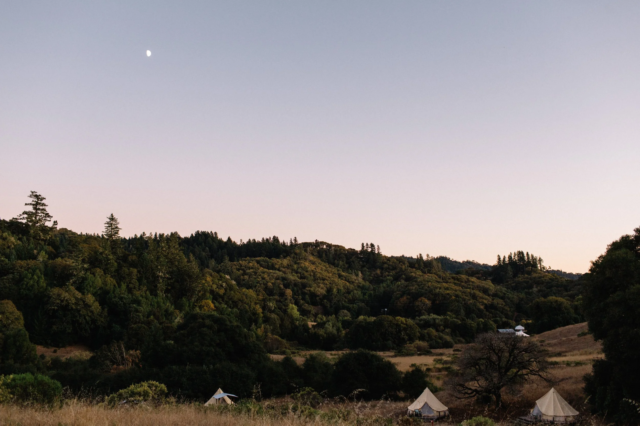 The Valley on a Summer Evening.jpg