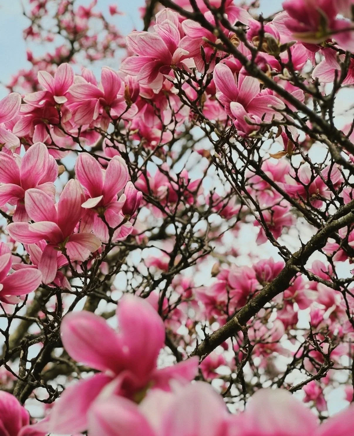 Spring at The Thyme Retreat Center, Salisbury, Connecticut