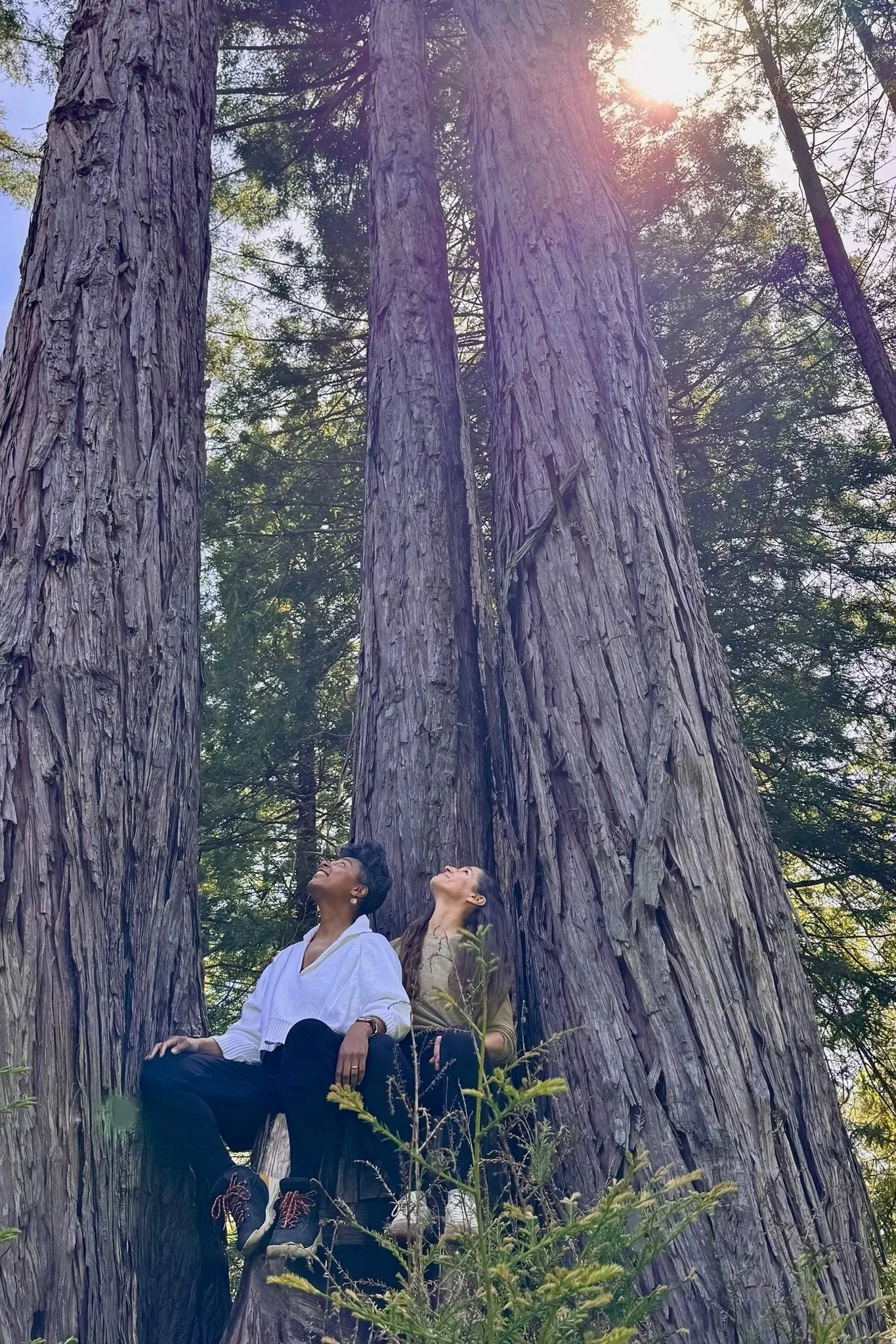Grounding and centering amongst giant redwoods. Christine and Monique, co-founders of the Catalyst, during their Catalyst retreat in Mendocino at Spirt Camp