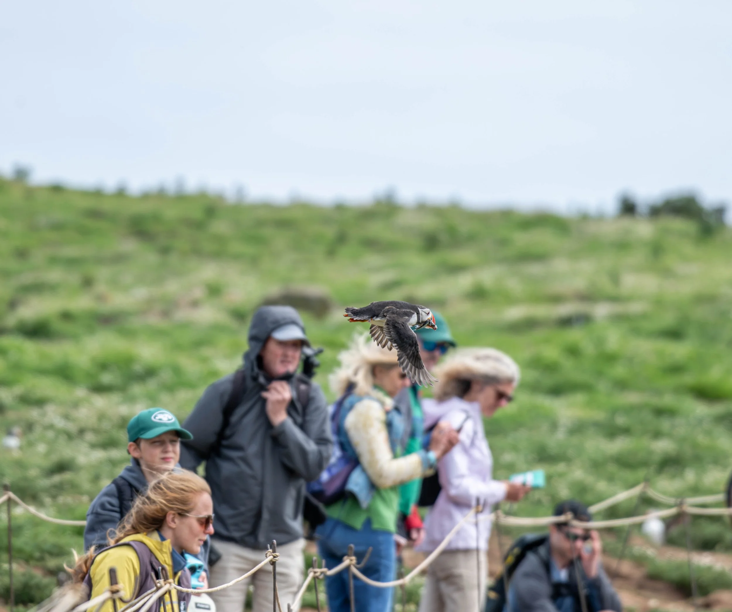 D85_1523.jpg