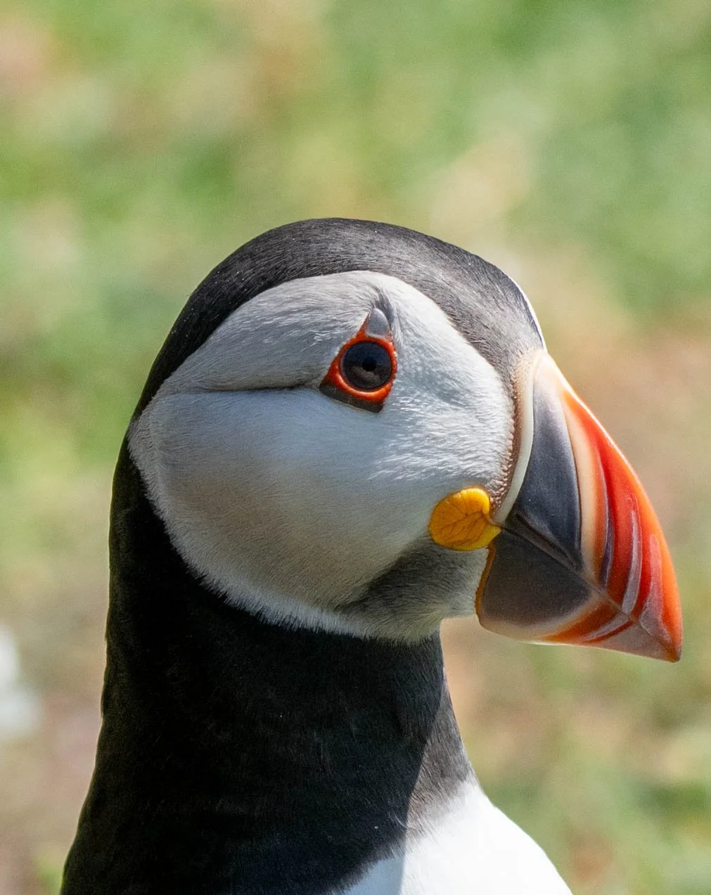 D85_9931-2.jpg