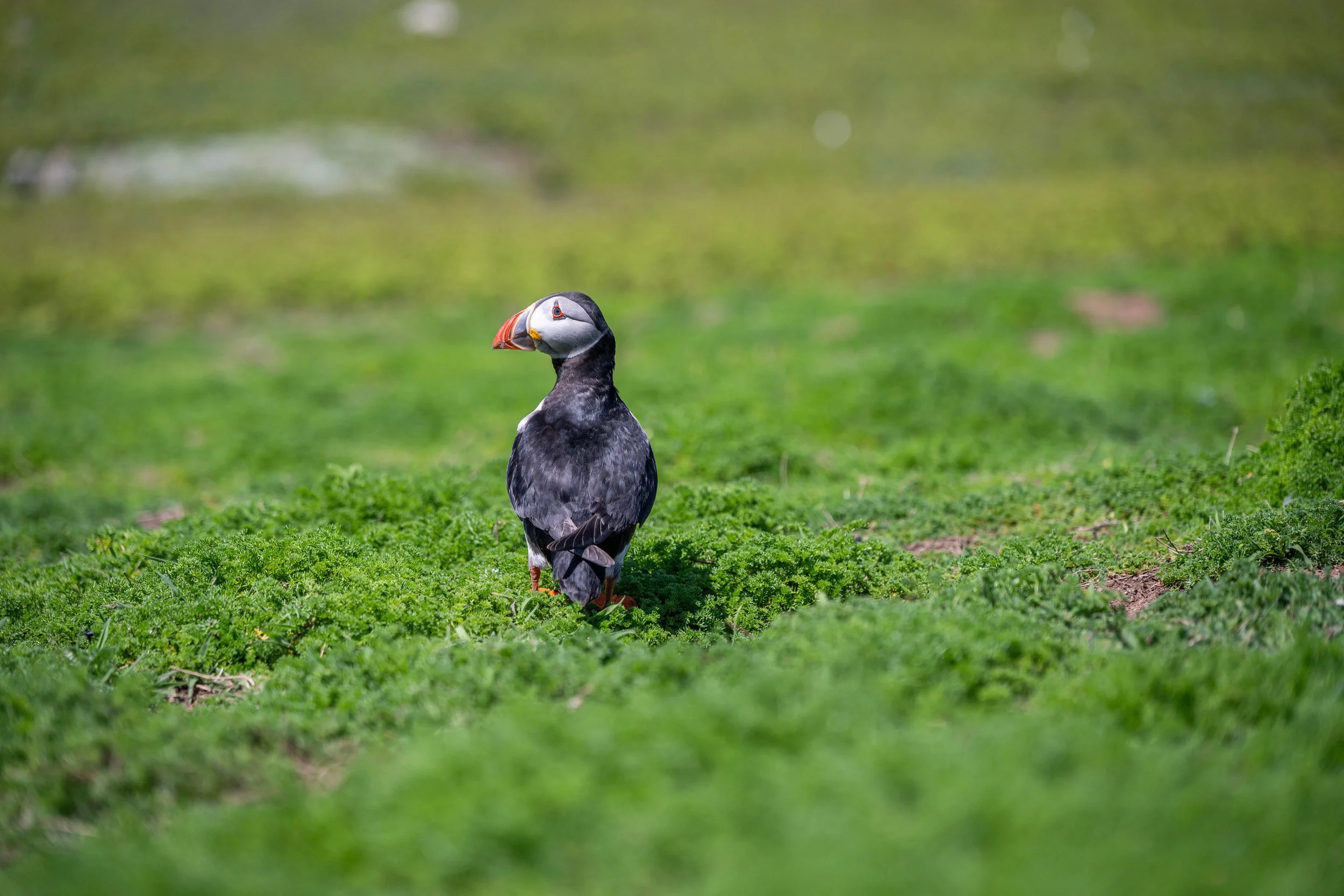 DSC_6663.jpg