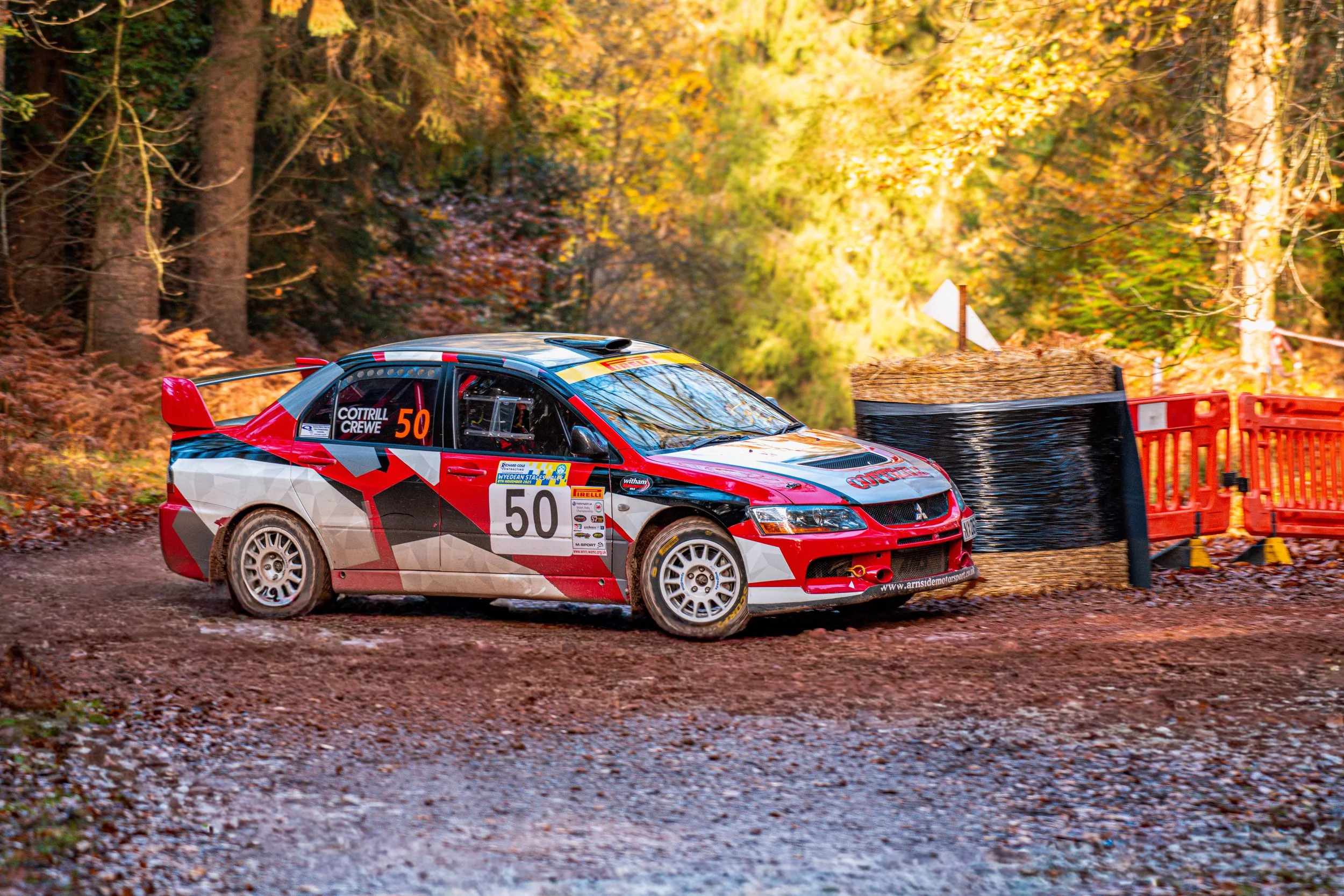 D85_3020-3.jpg