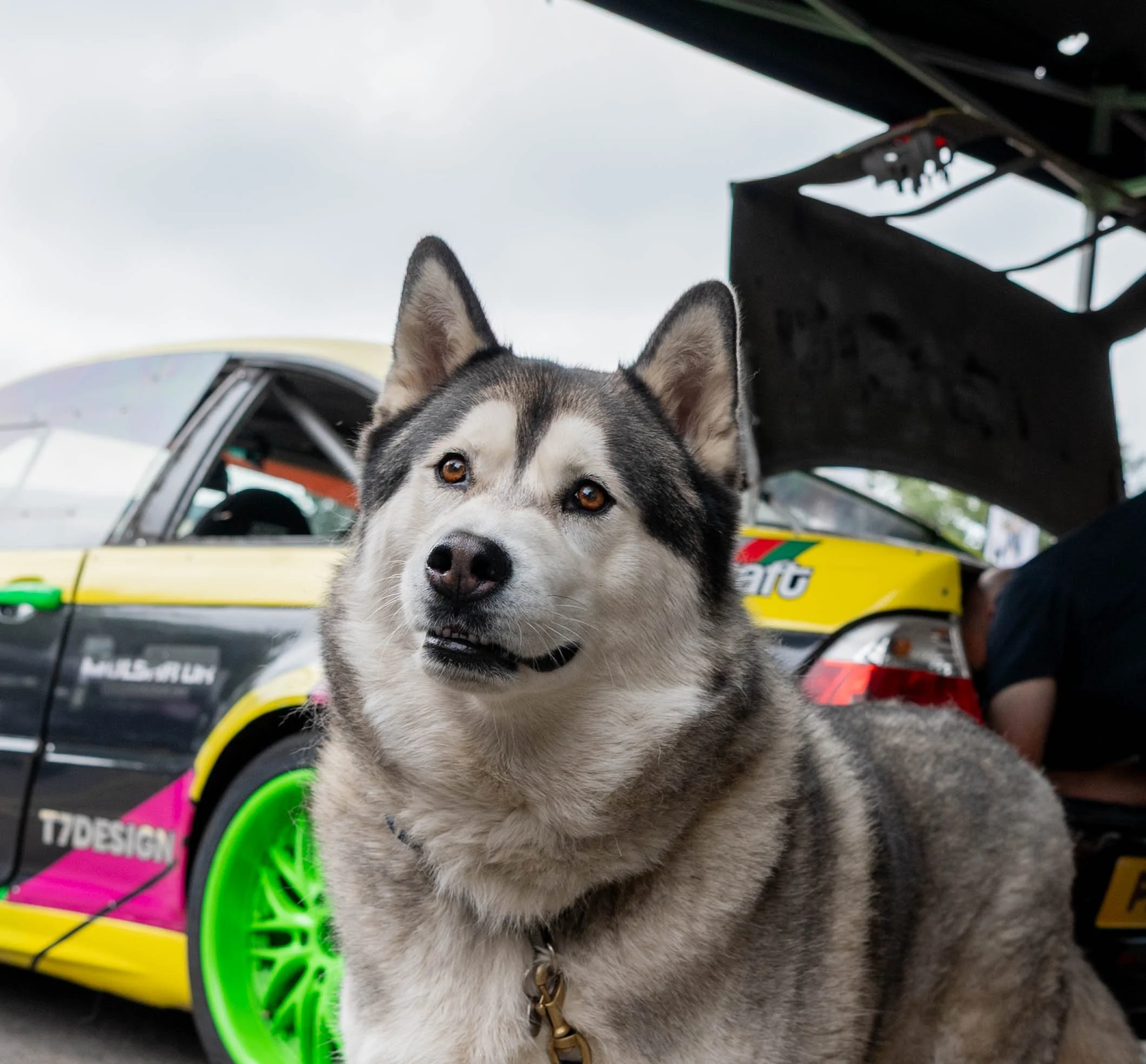 DSC_9169.jpg