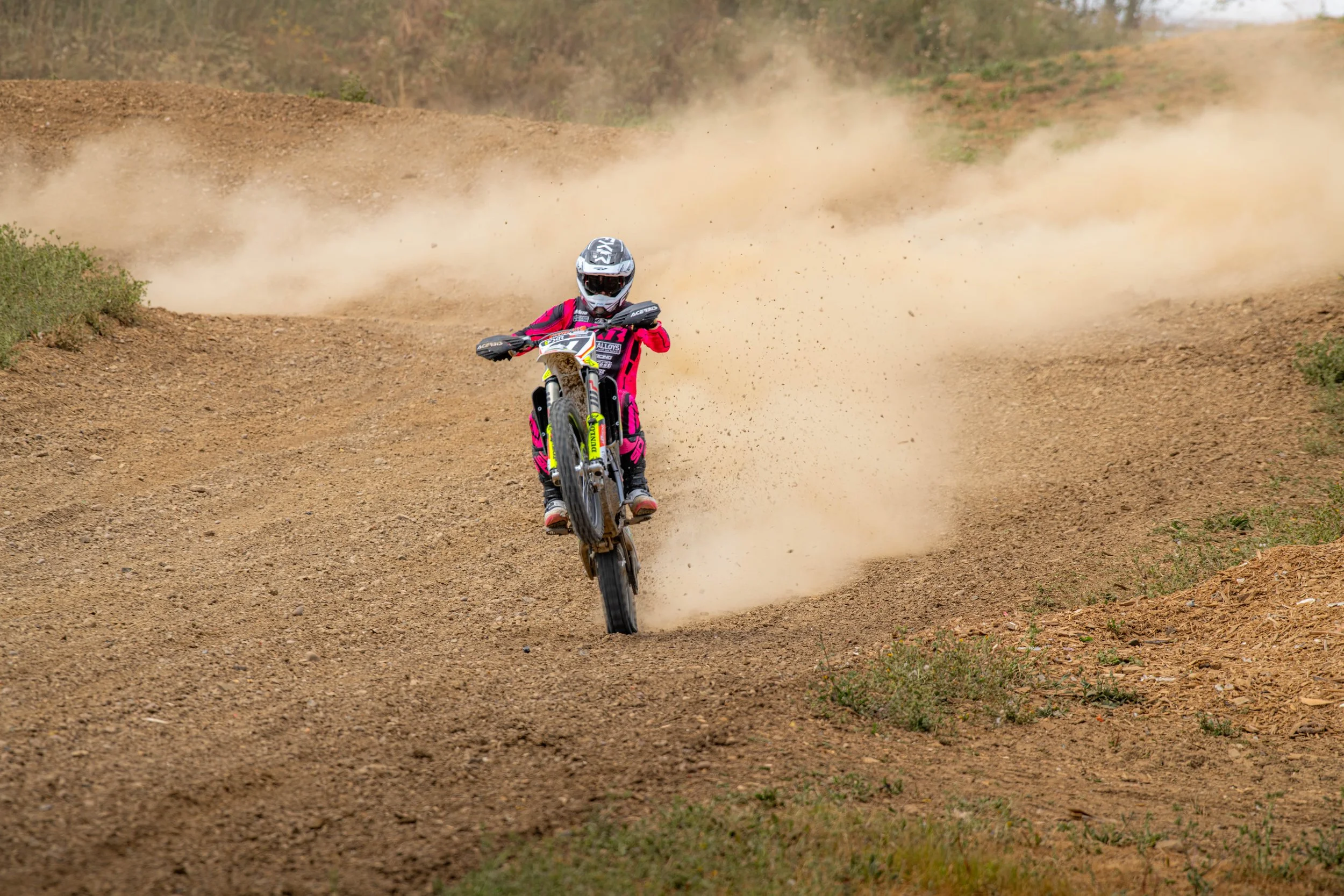 D85_5819-2.jpg