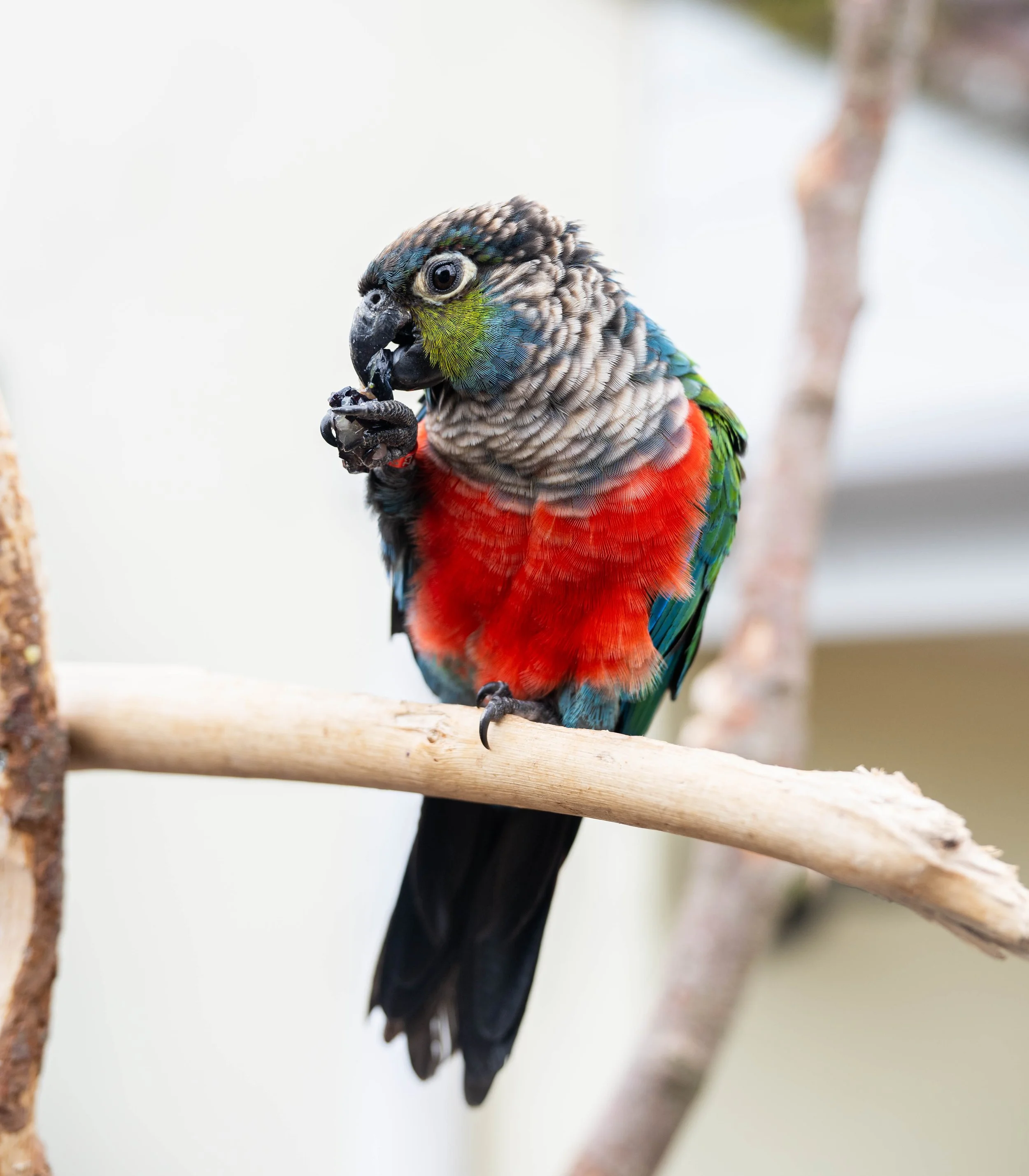 DSC_6395-3.jpg