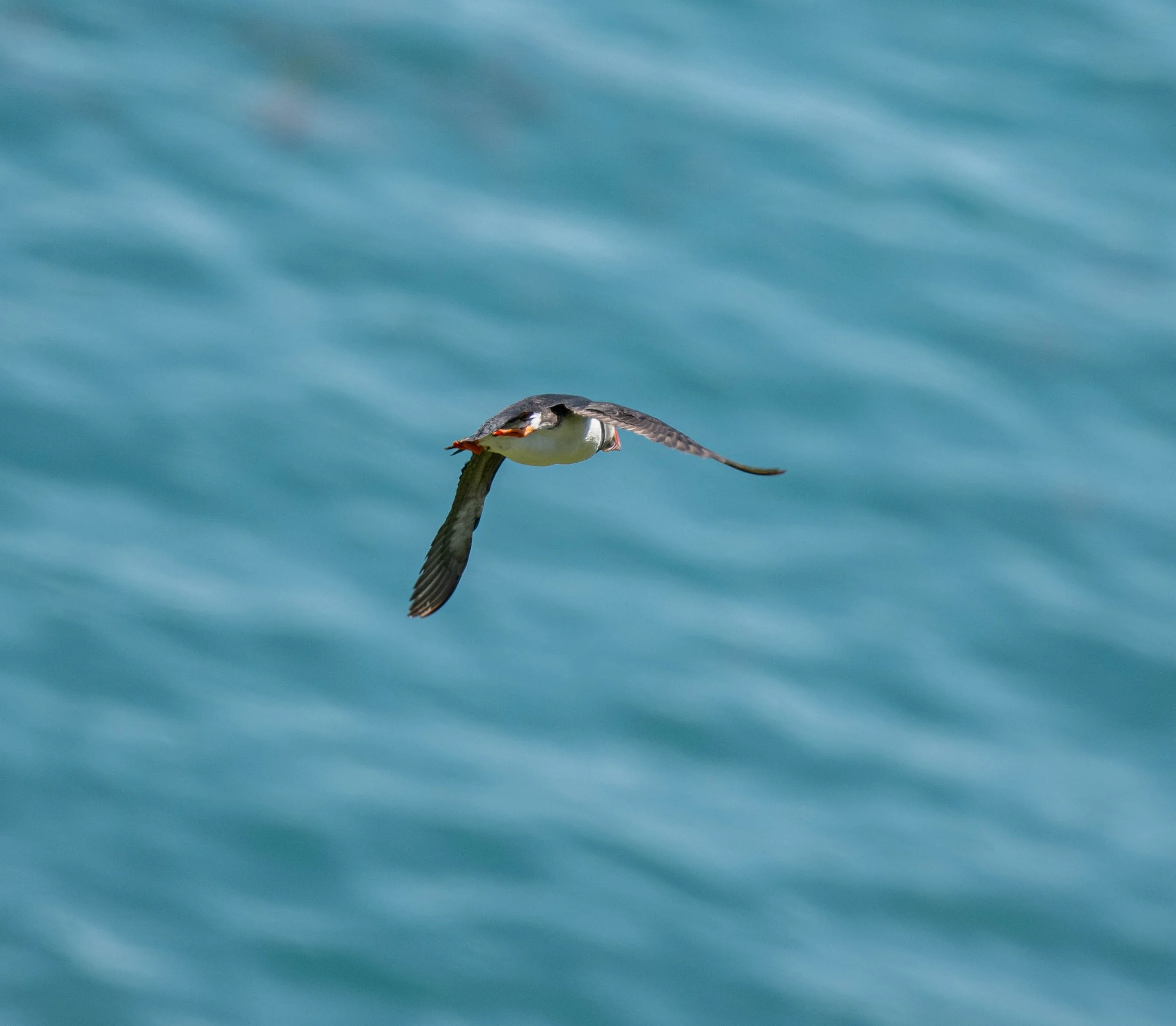 D85_9772.jpg