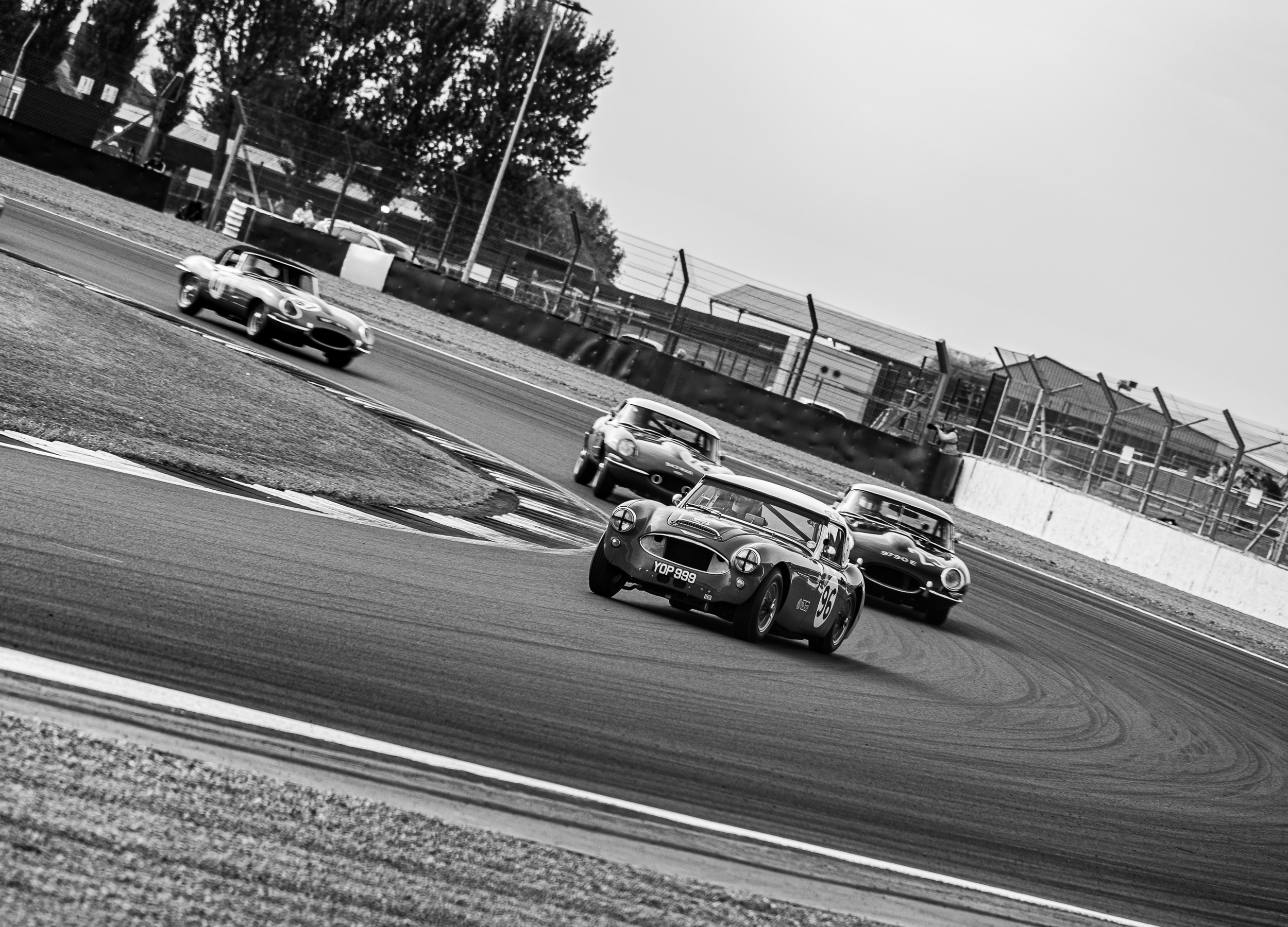 DSC_6735.png