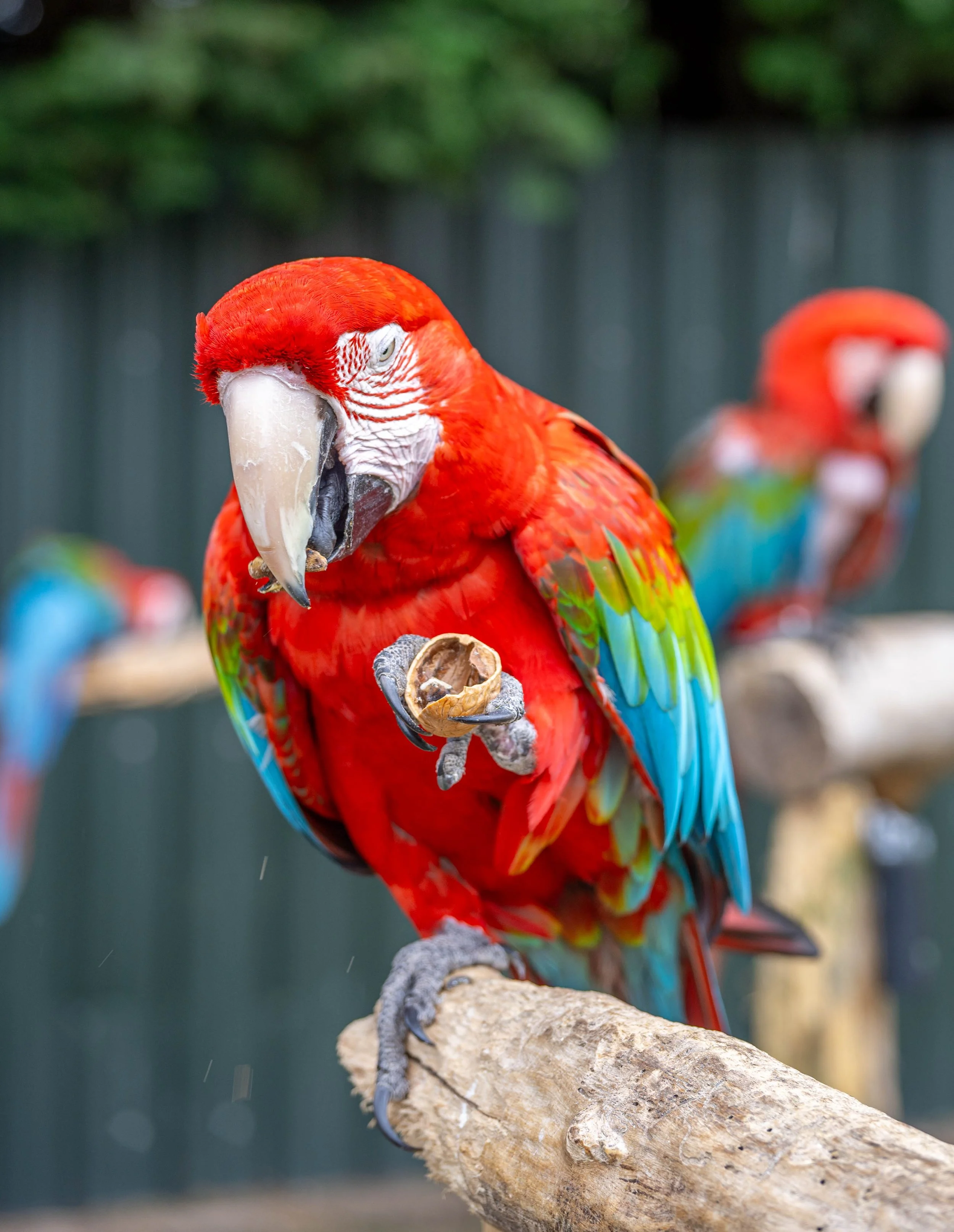 DSC_6305.jpg