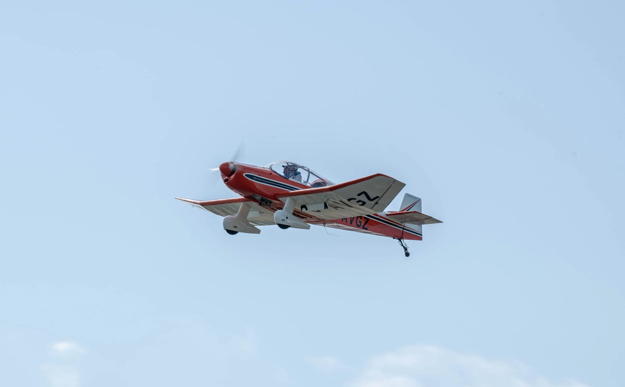 D85_6316.jpg