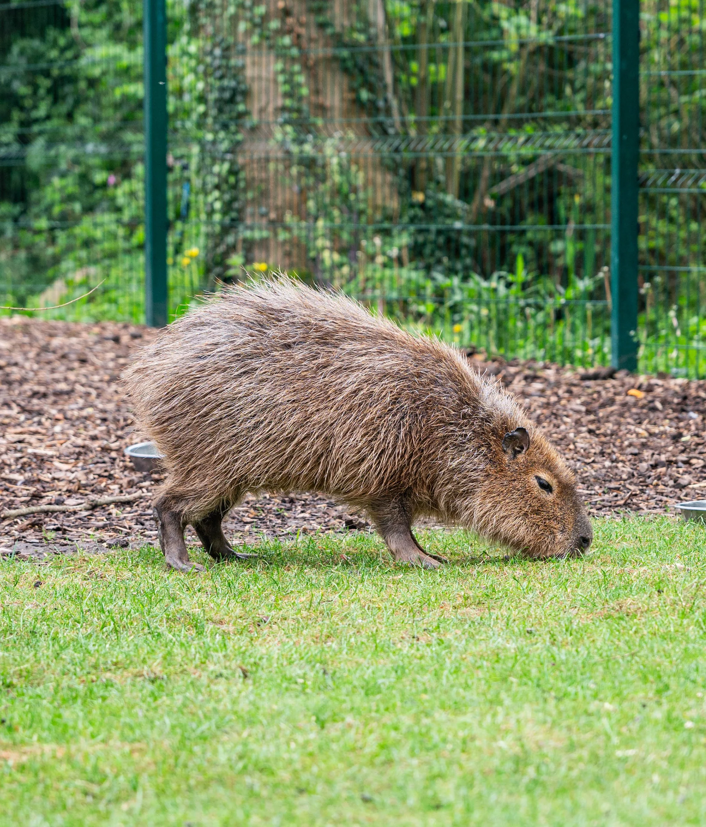 DSC_6264.jpg