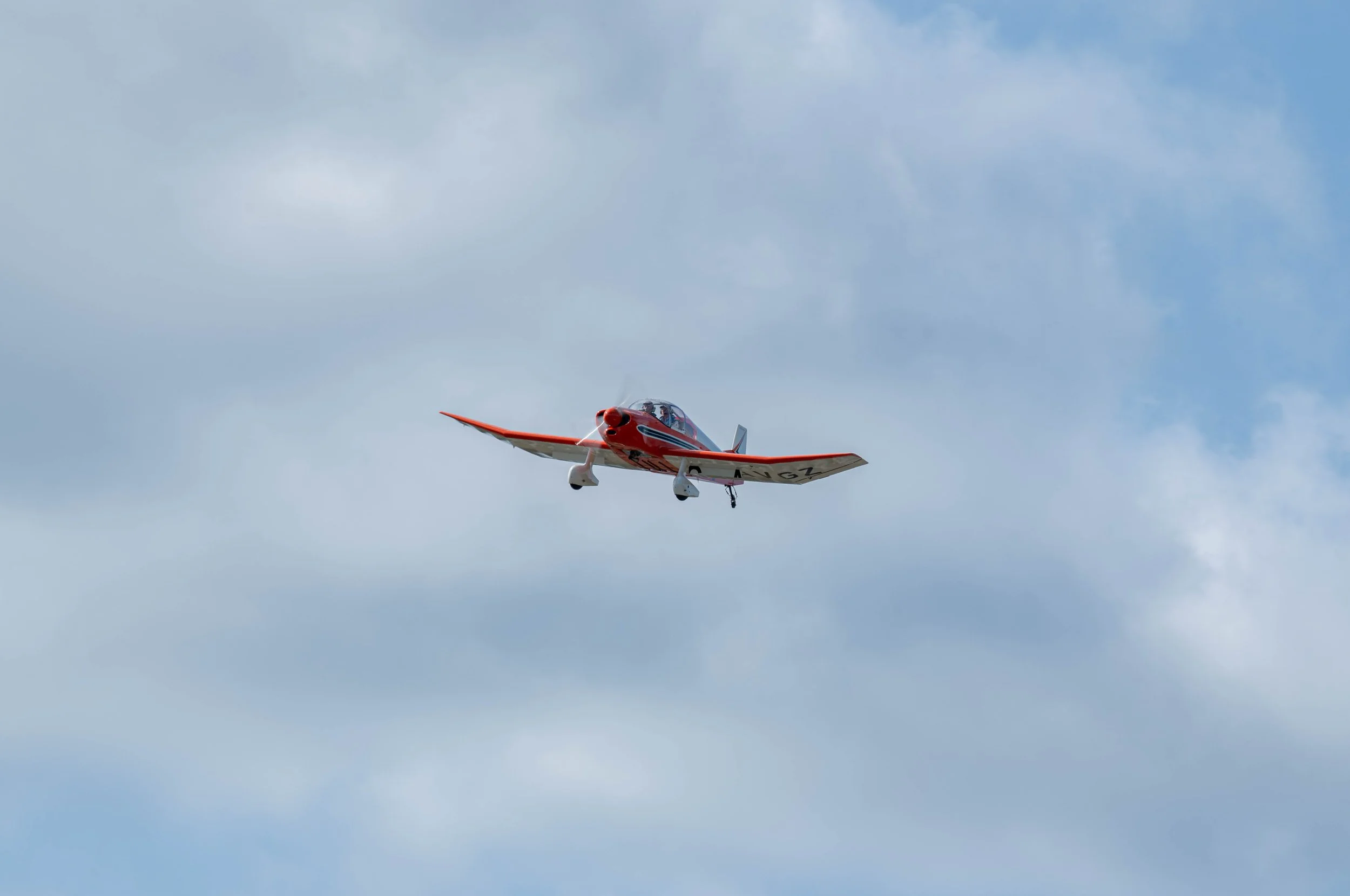D85_6304.jpg