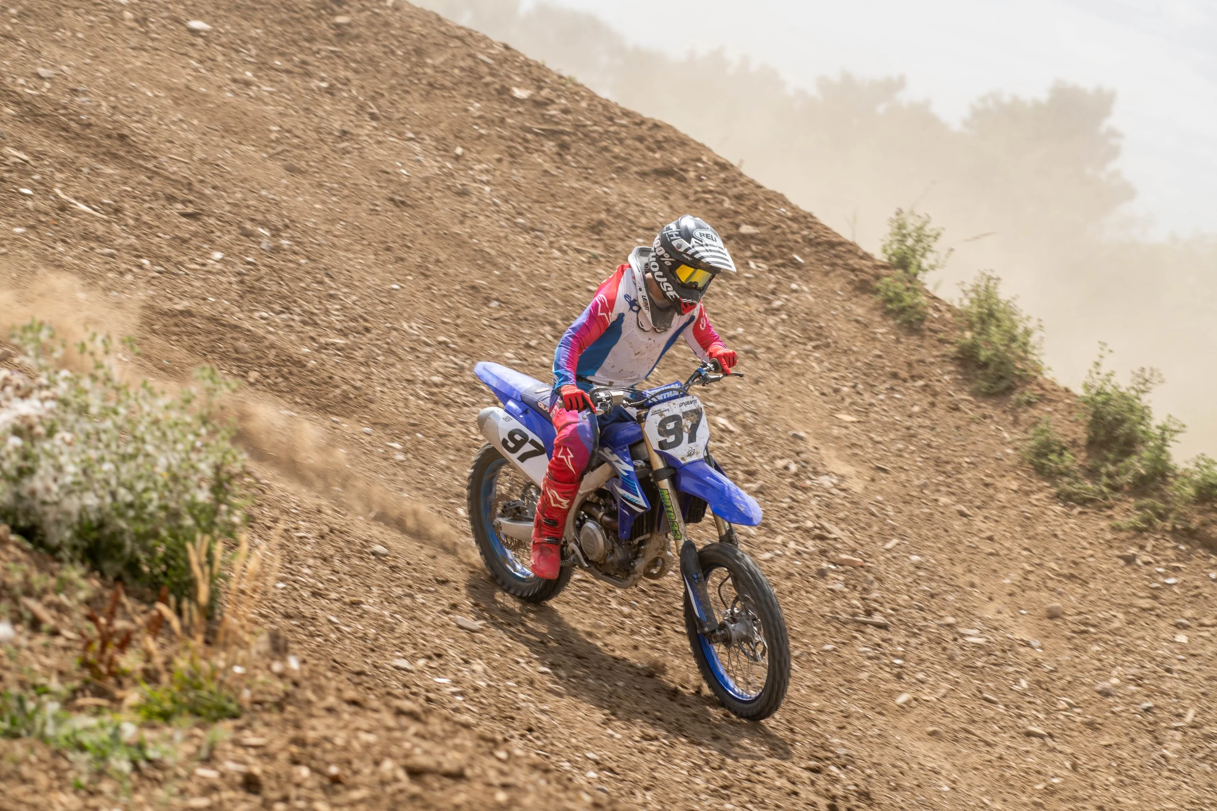 D85_5696.jpg