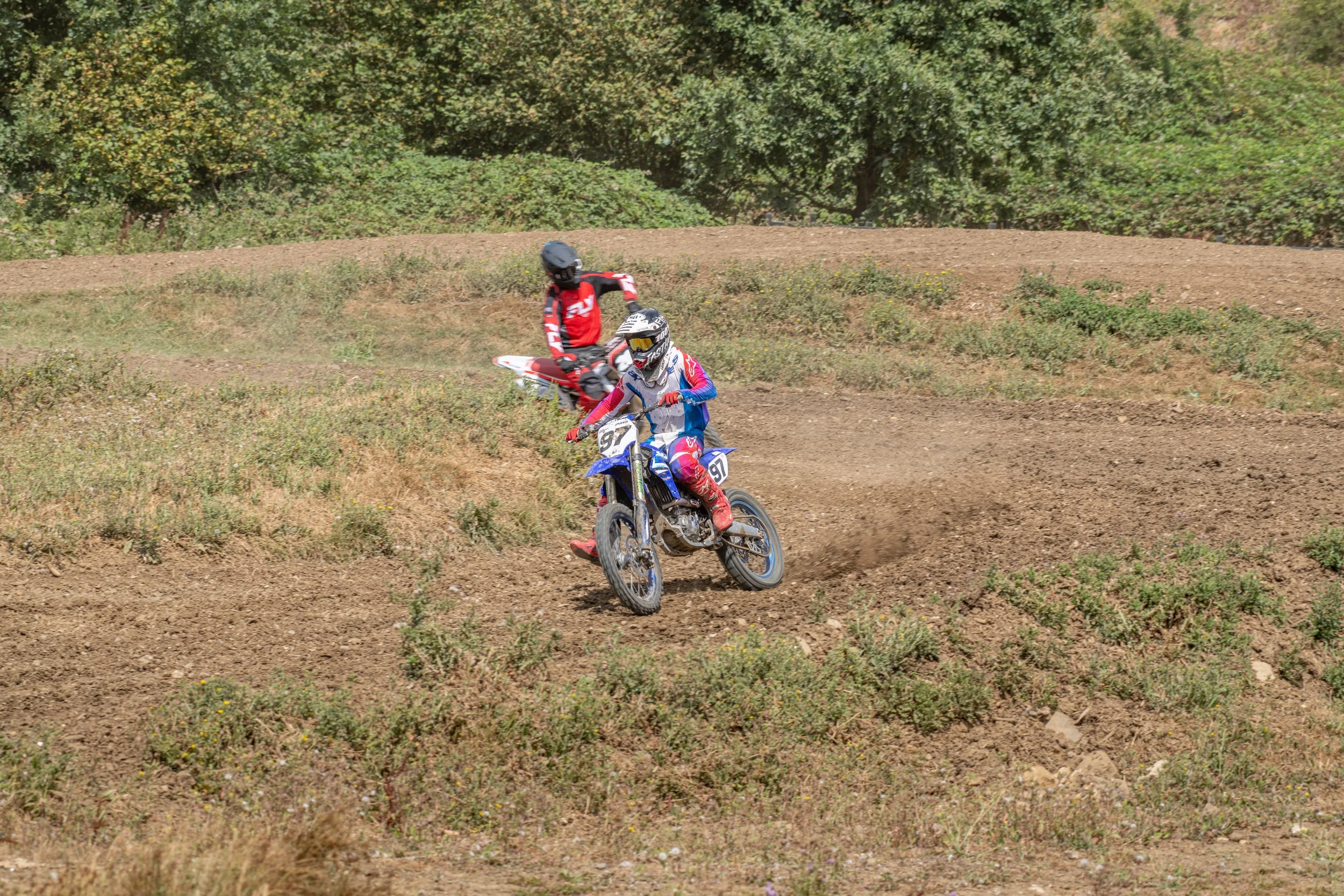D85_4919.jpg