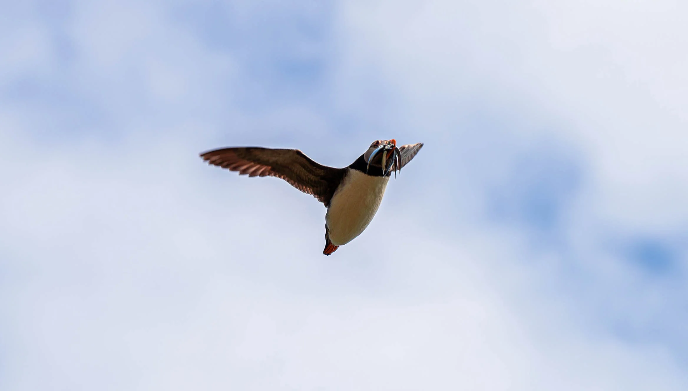DSC_8625.jpg