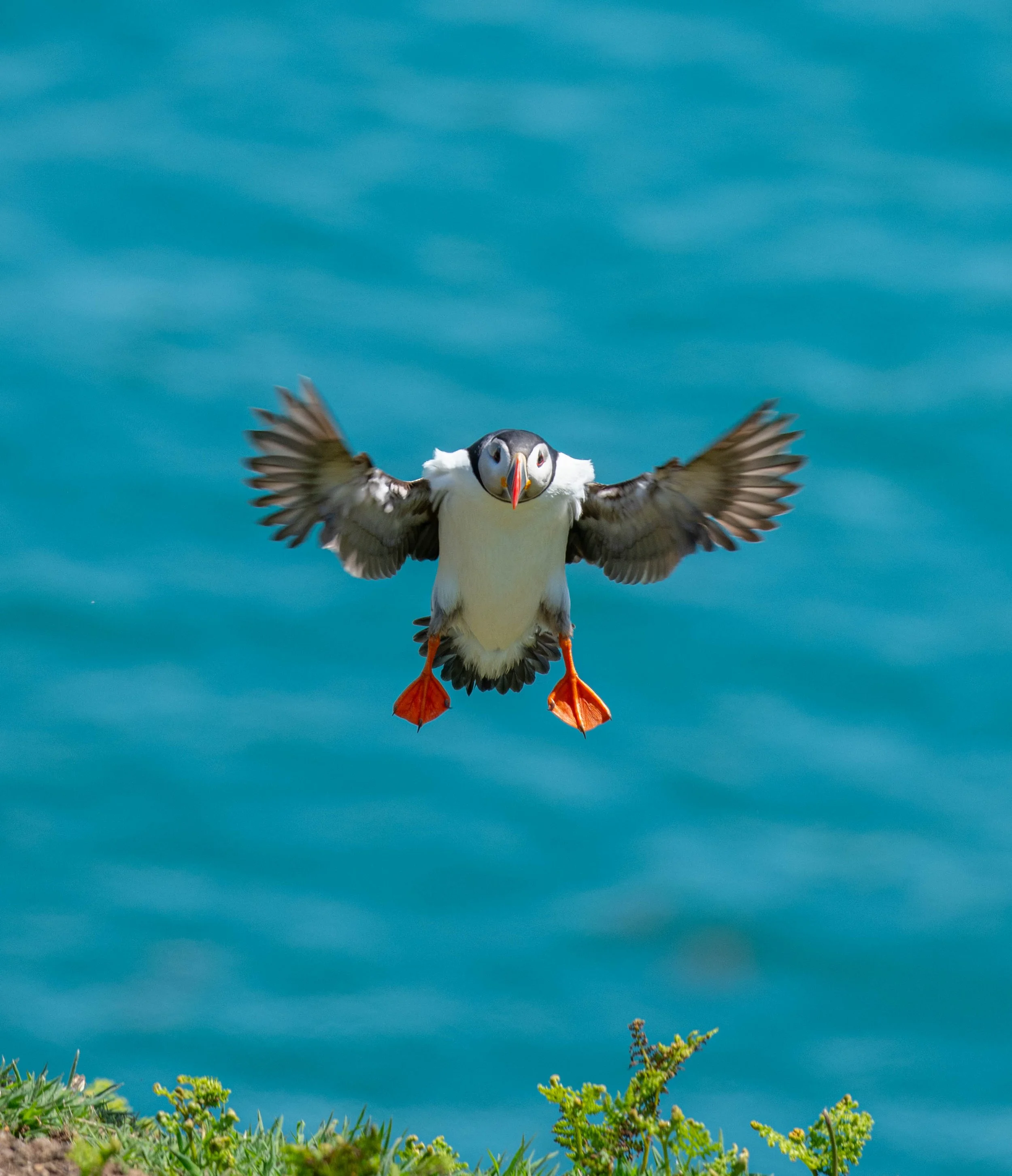 D85_9808.jpg