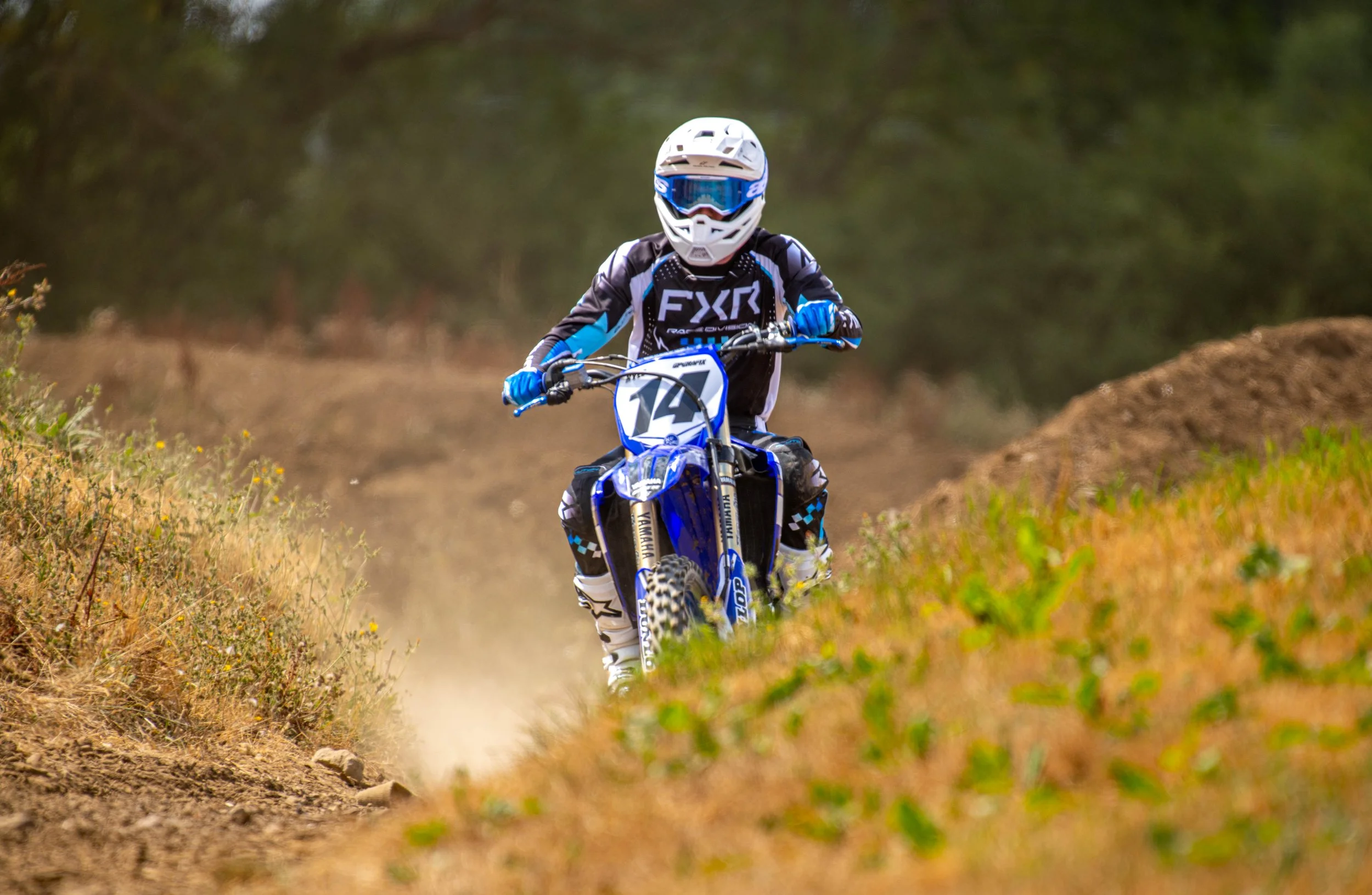 D85_4739.jpg